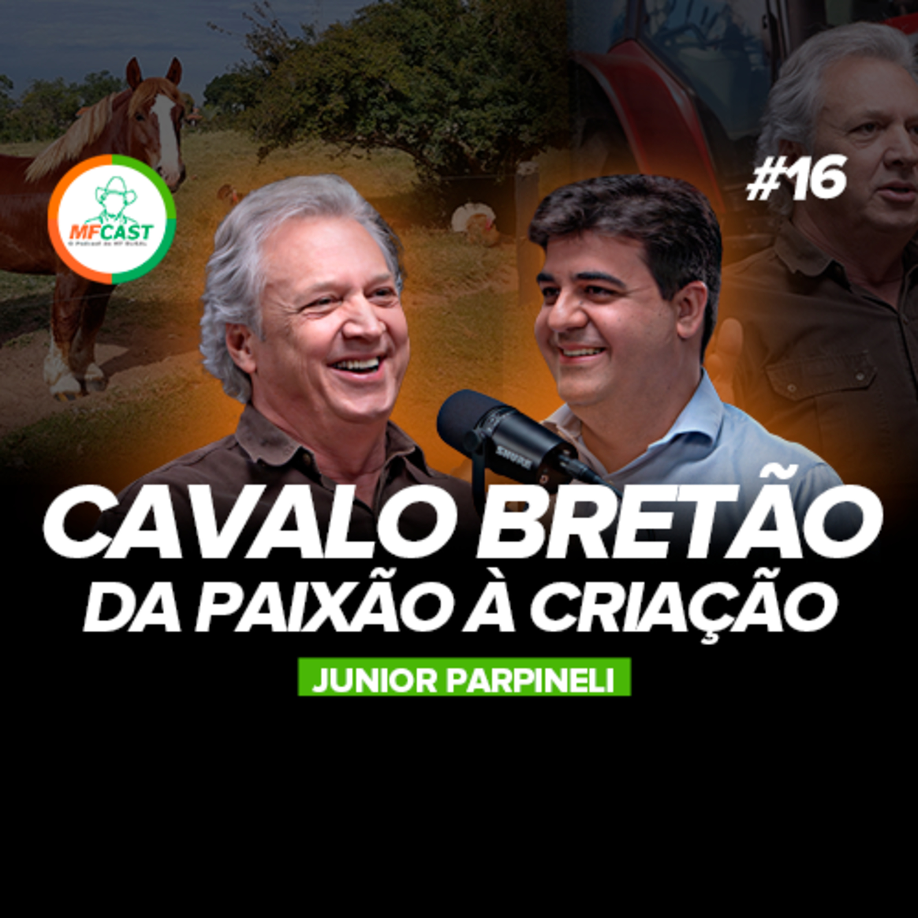 CAVALO BRETÃO: NOTÁVEL POR SUA DOCILIDADE, INTELIGÊNCIA E PRONTIDÃO (Júnior Parpineli) - MF Cast 16 episode artwork