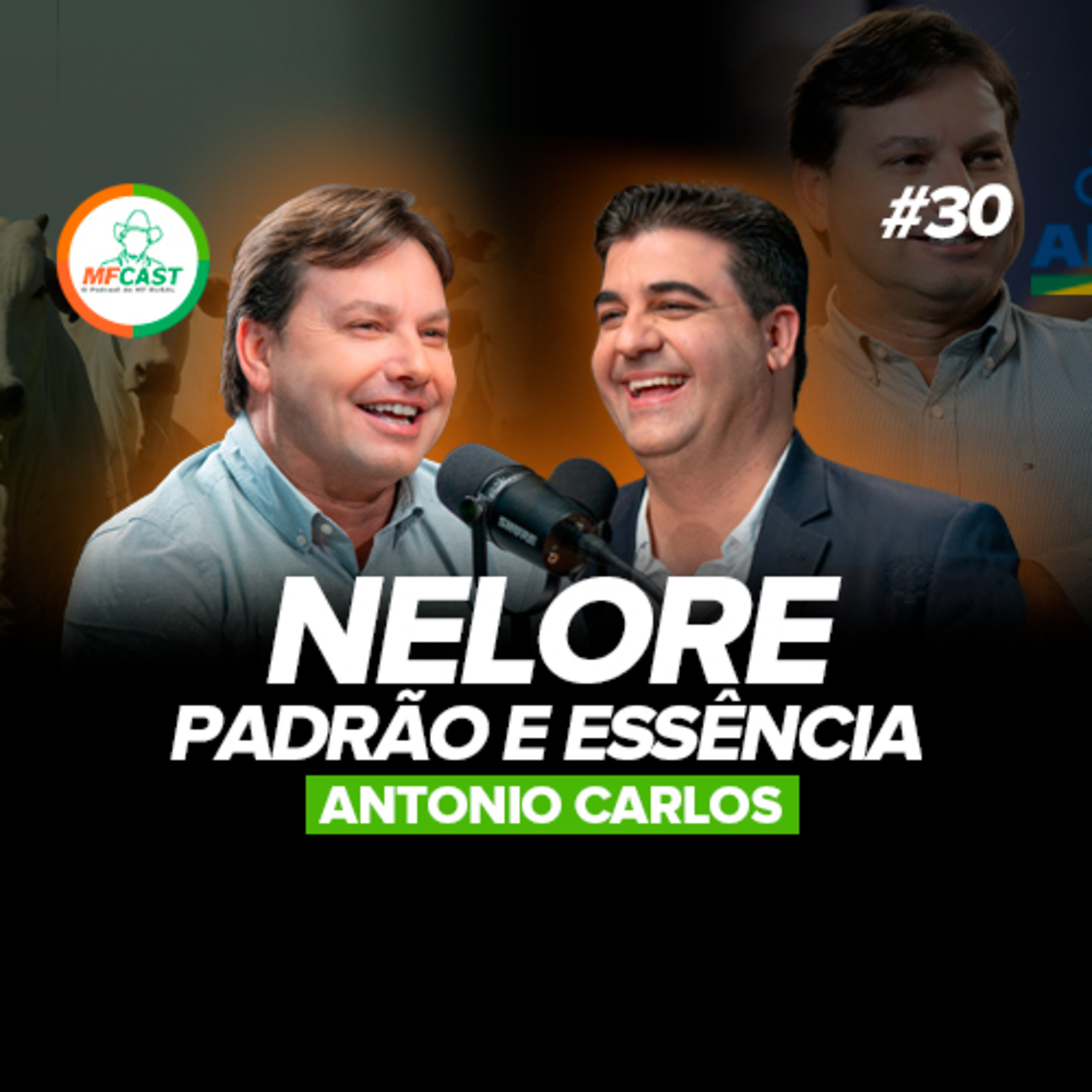 NELORE: A IMPORTÂNCIA DO PADRÃO PARA A PRESERVAÇÃO DA RAÇA (Antonio Carlos) MF Cast 30 episode artwork