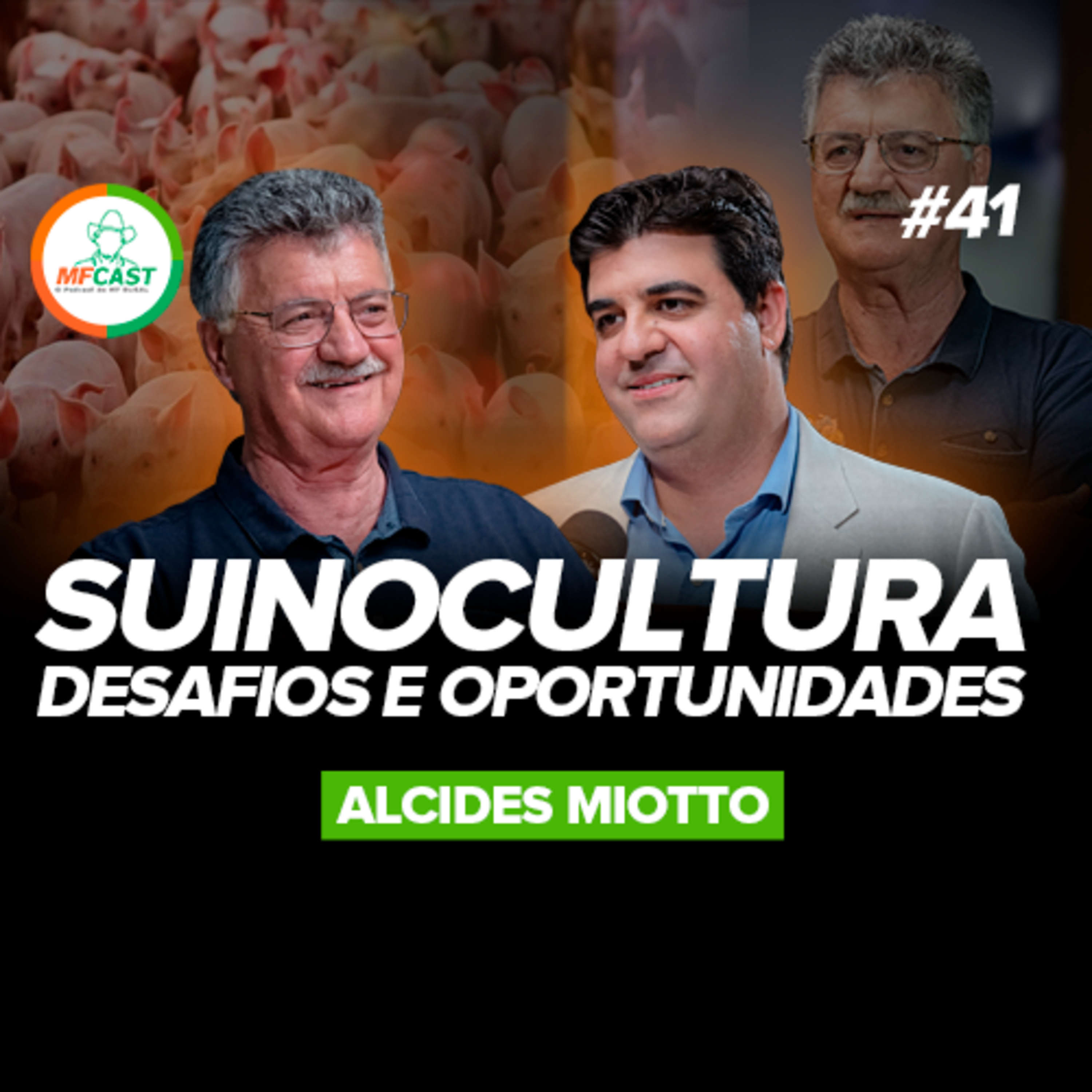 SUINOCULTURA: GENÉTICA COMO PILAR NA QUALIDADE DA CARNE (Alcides Miotto) - MF Cast 41 episode artwork