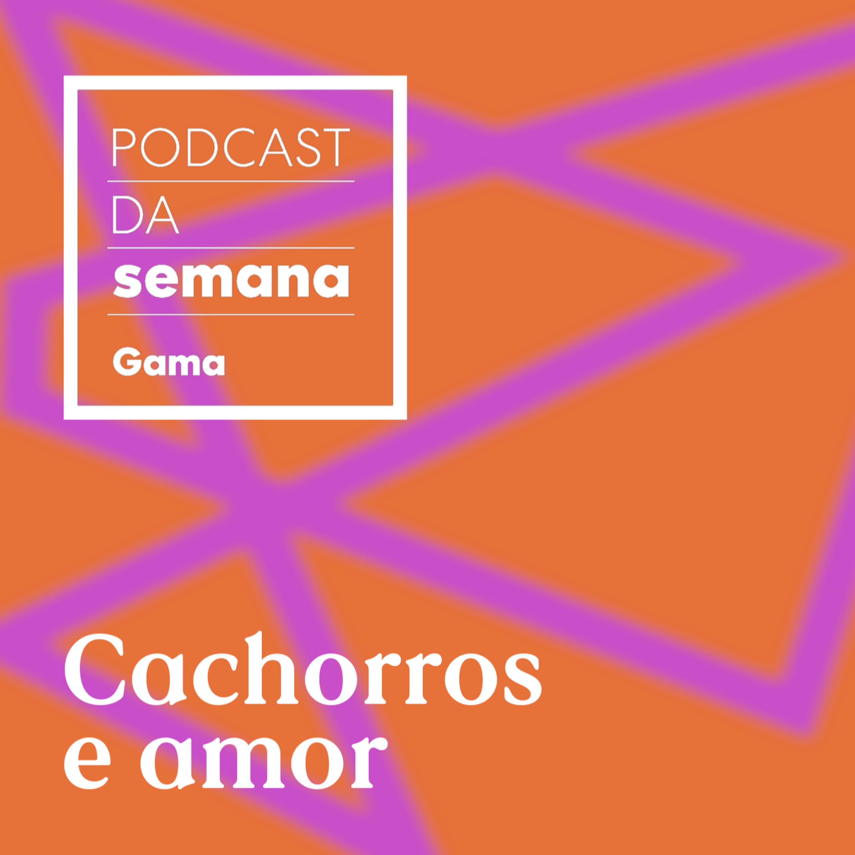Chico Felitti: Cachorros e amor