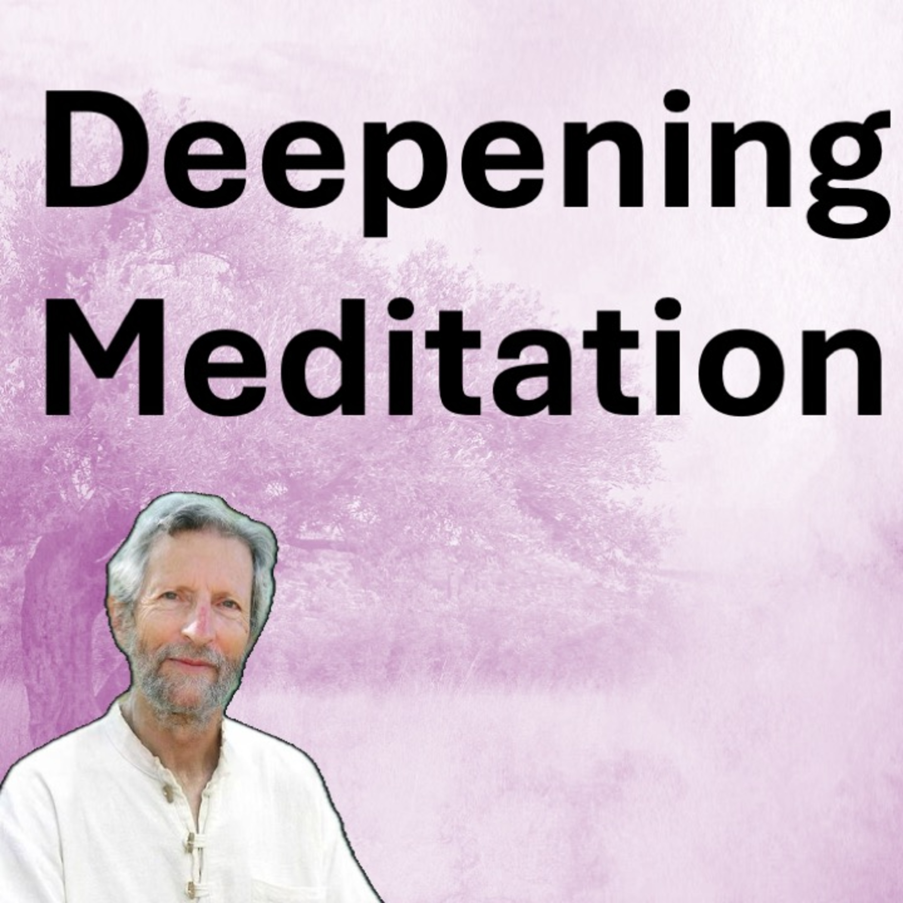 Guided Meditation 4. Practice Course. Hindrances And Emotions.  episode artwork
