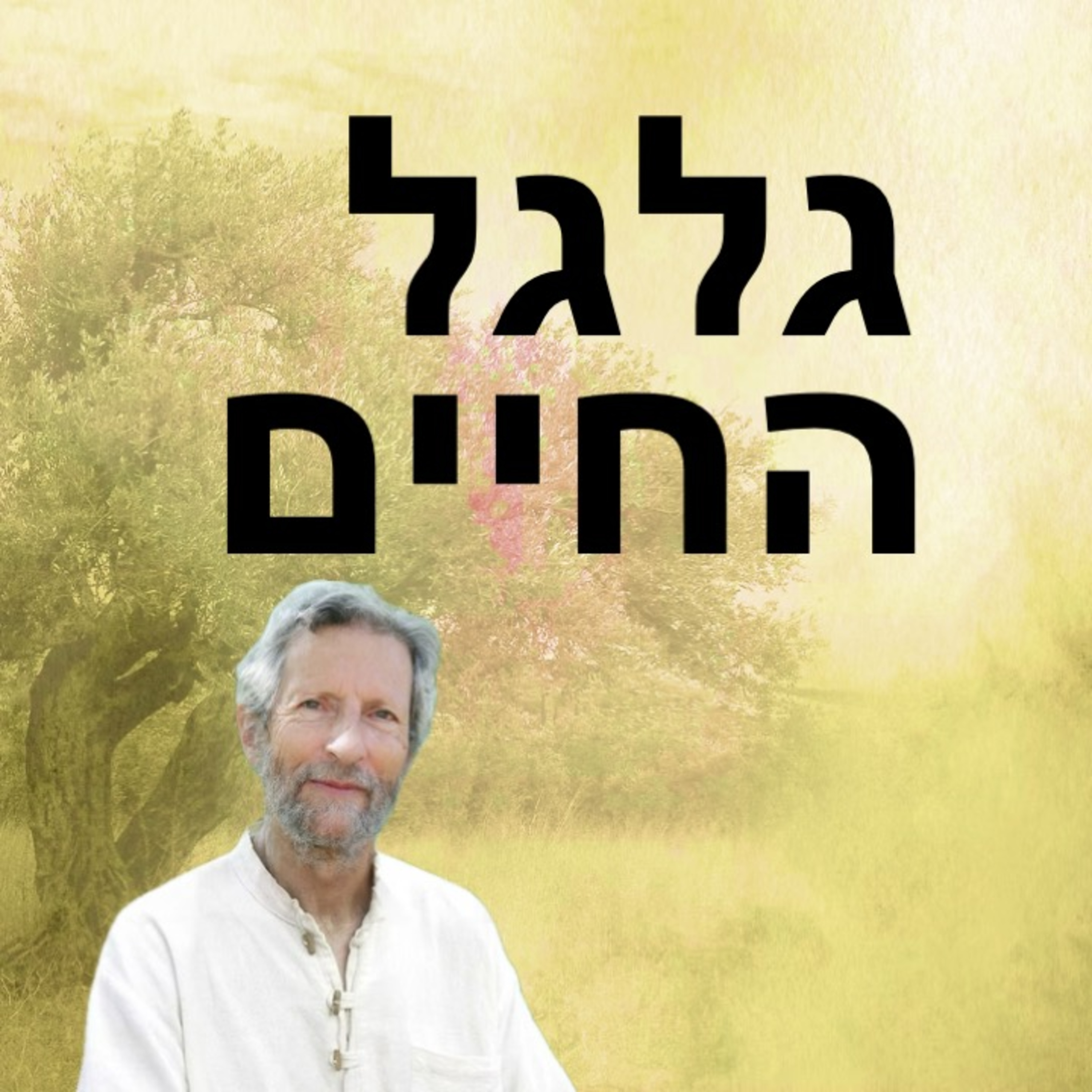 התהוות מותנית #9 סנקהרות. הכלא של מה שידוע episode artwork