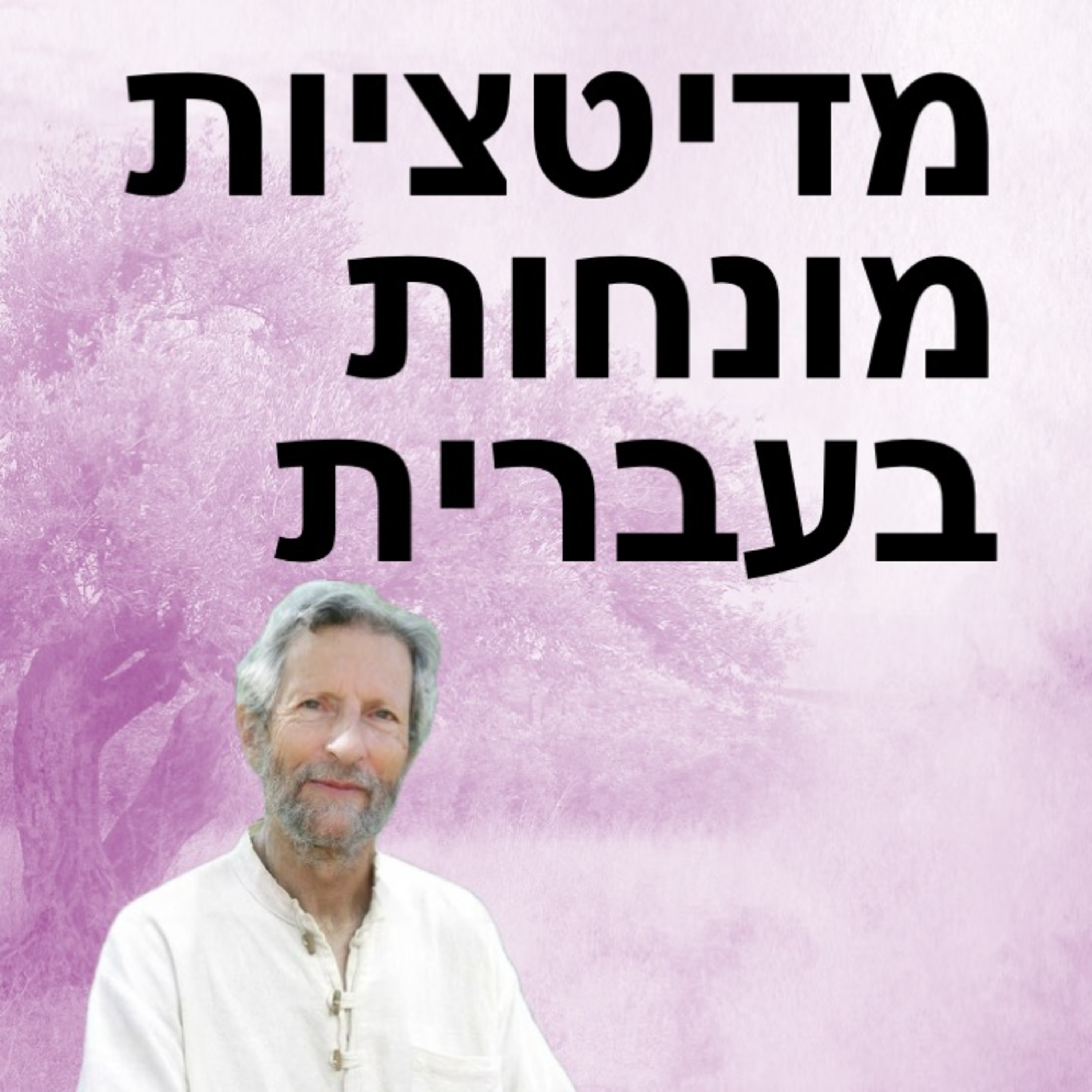 הנחיות למדיטציה בעמידה ובהליכה episode artwork