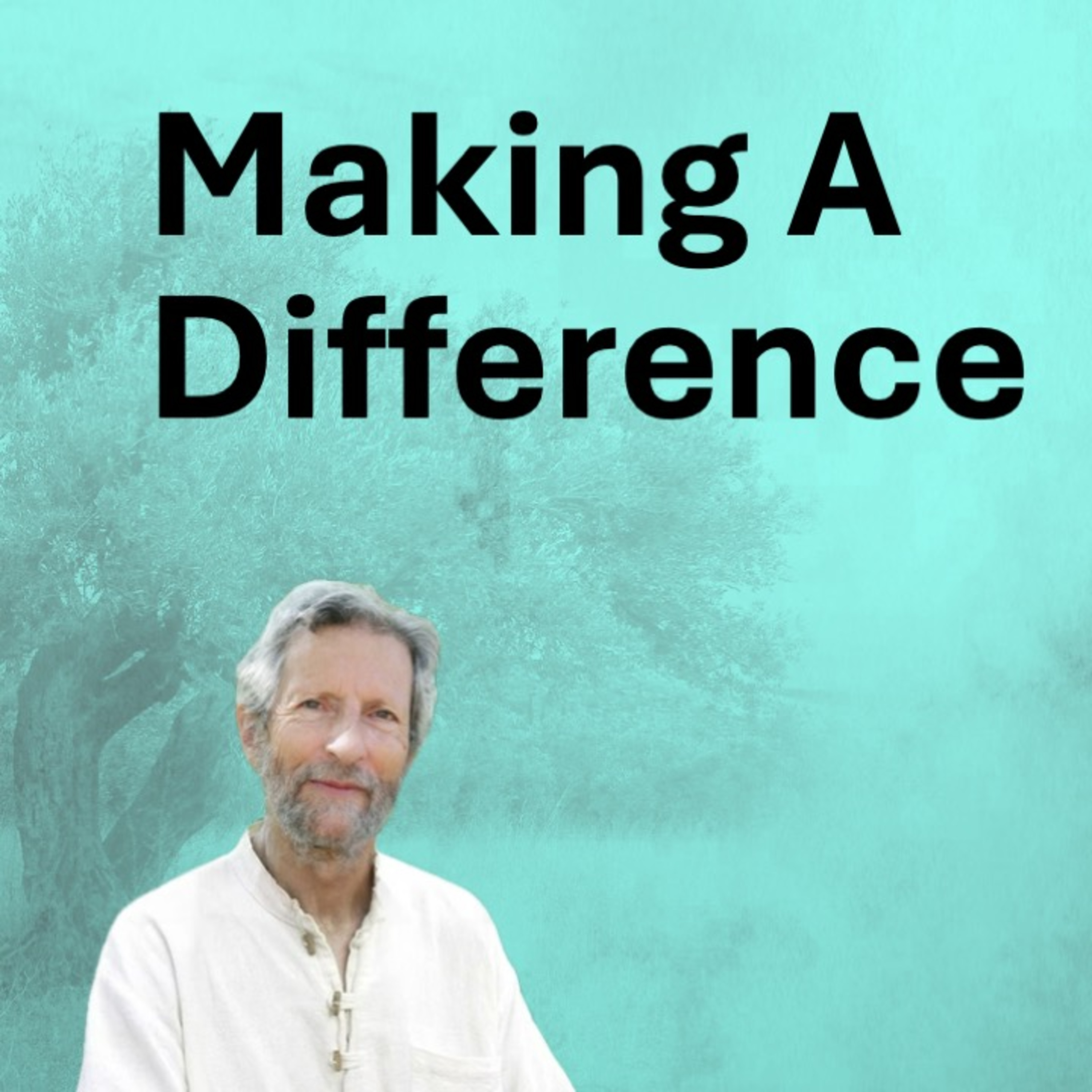 The Contribution Of Mindfulness To Solving Conflict episode artwork