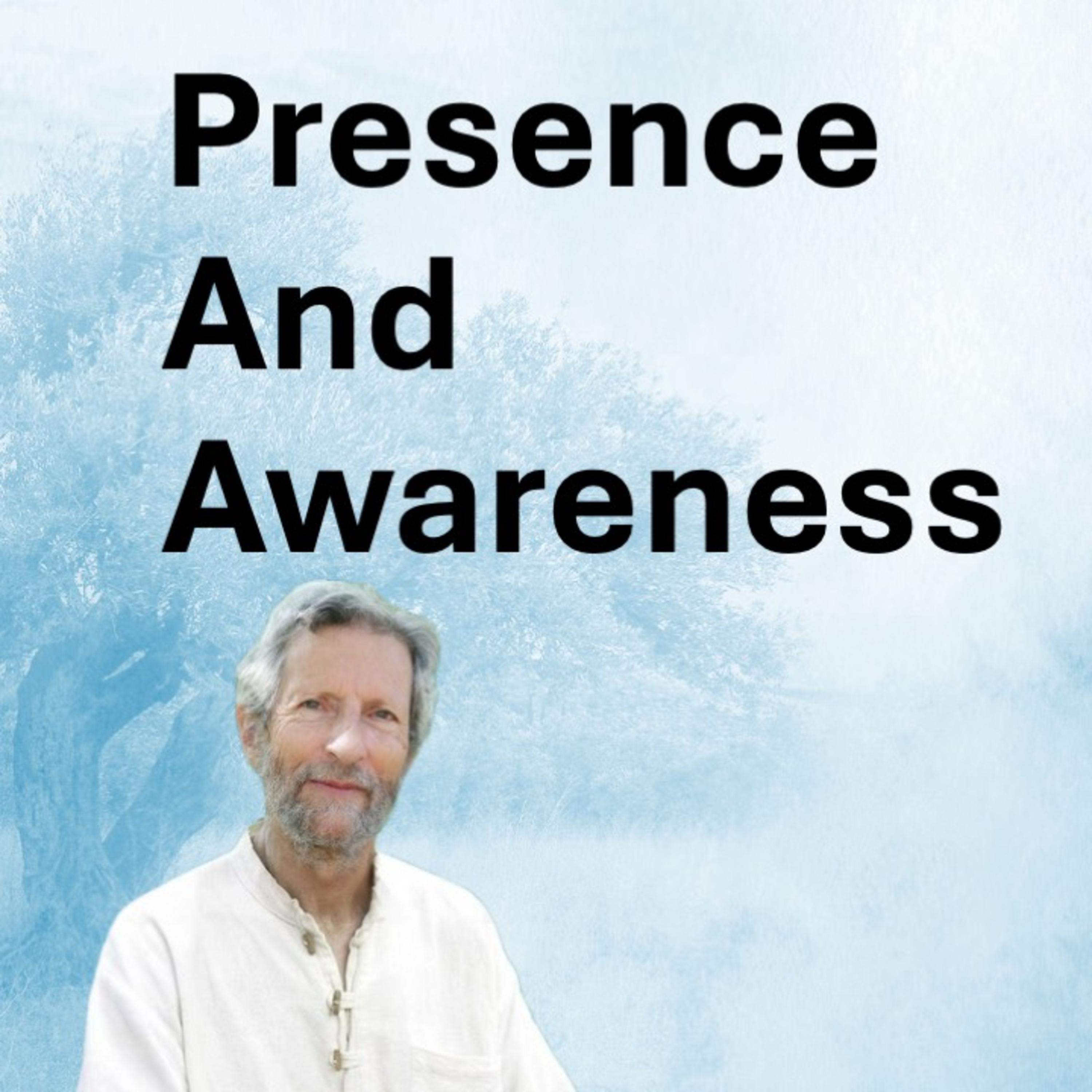 Our Awareness is vast Enough to Hold All Our Experience episode artwork
