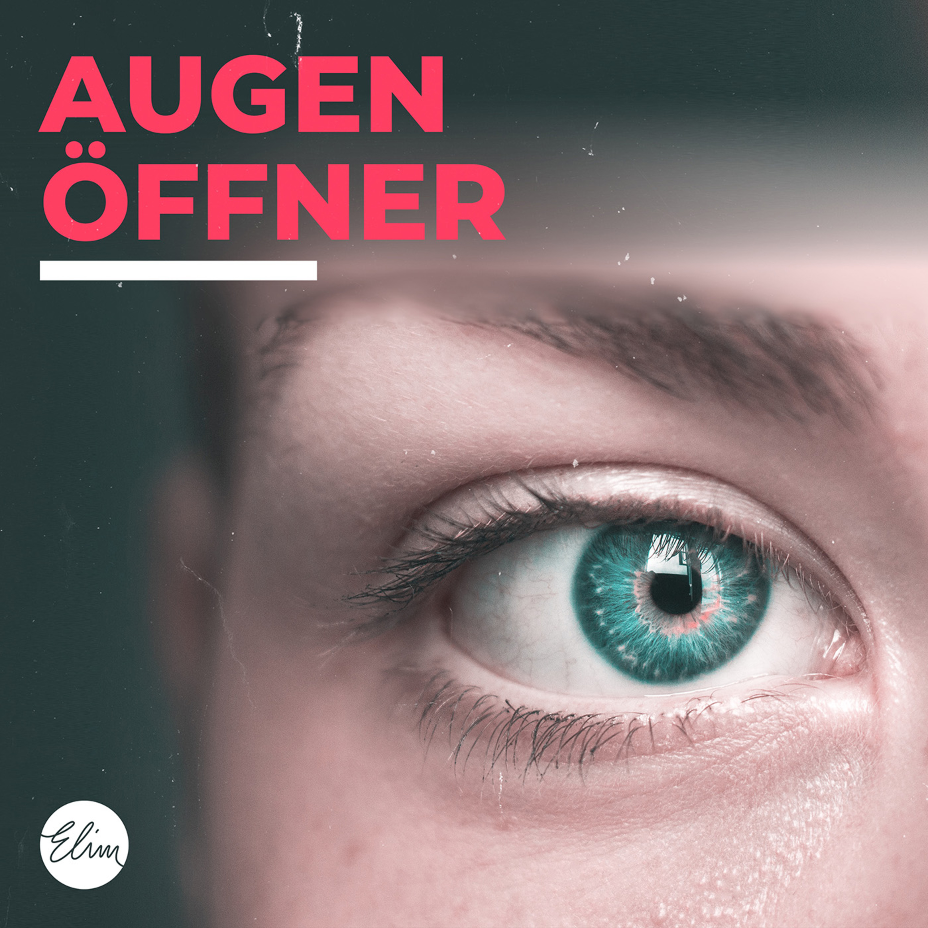 Augenöffner (3)… im Hinblick auf Gericht | 21.05.2023 | Sabine Pohl episode artwork