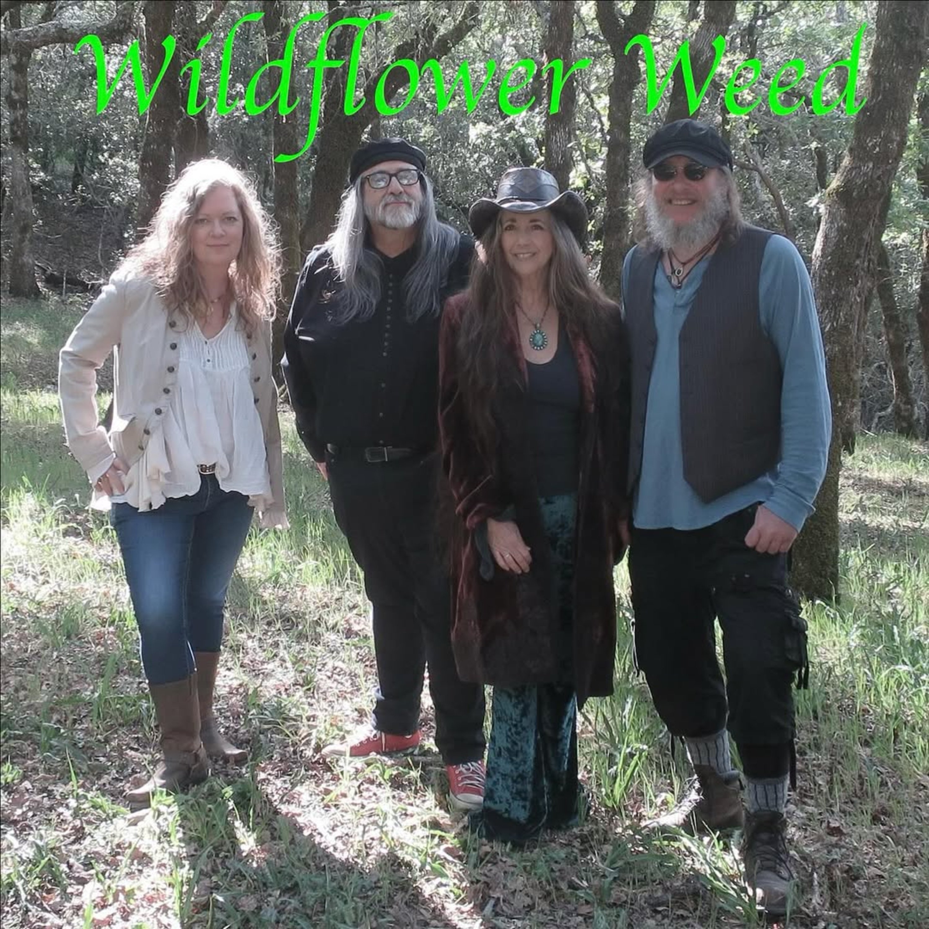 Wildflower Weed on JMB's New Old Show episode artwork