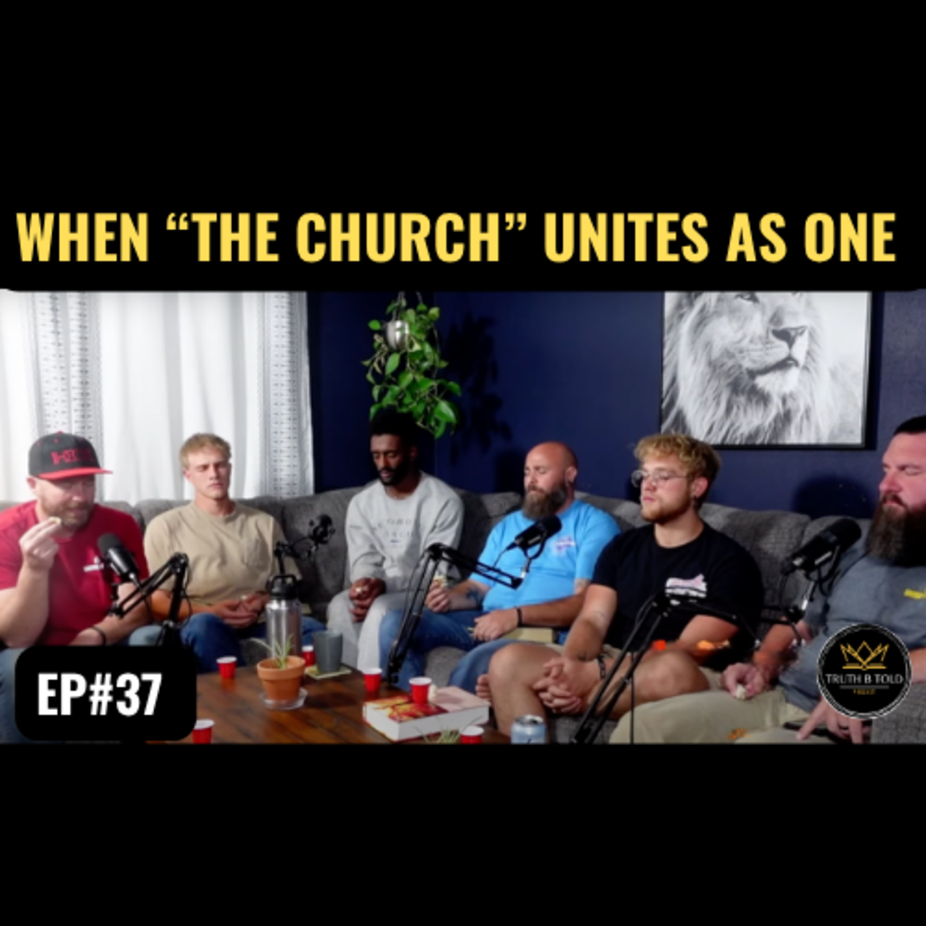 United to Revive: Real Stories, Radical Love, and a Call to Oneness