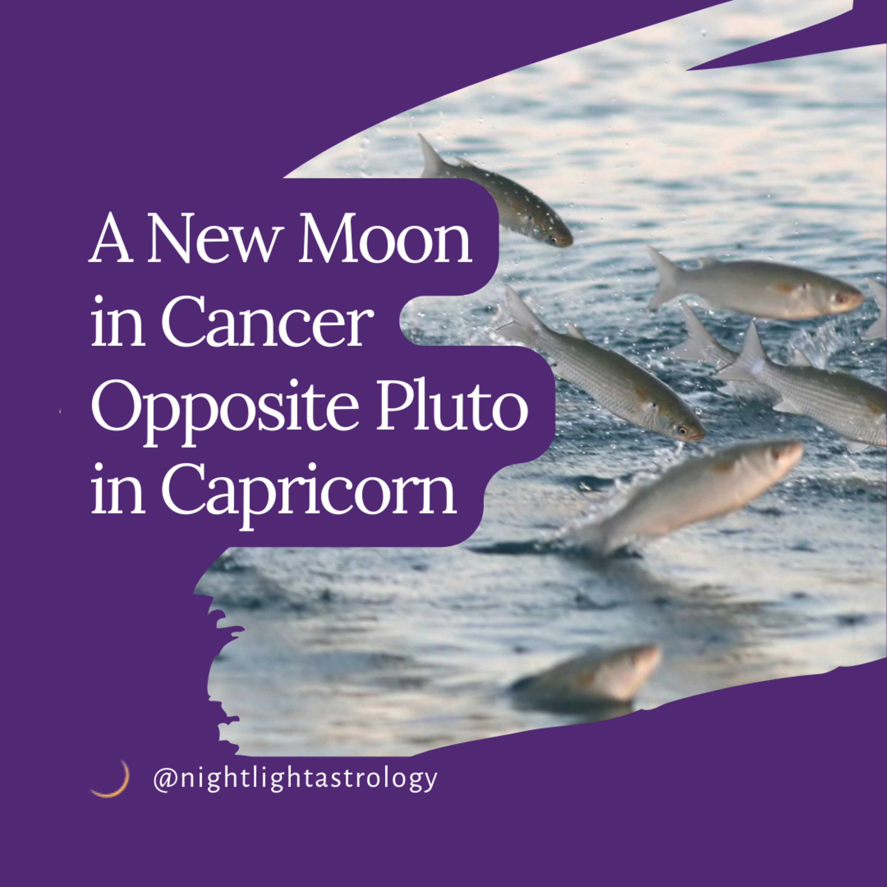 A New Moon in Cancer Opposite Pluto in Capricorn