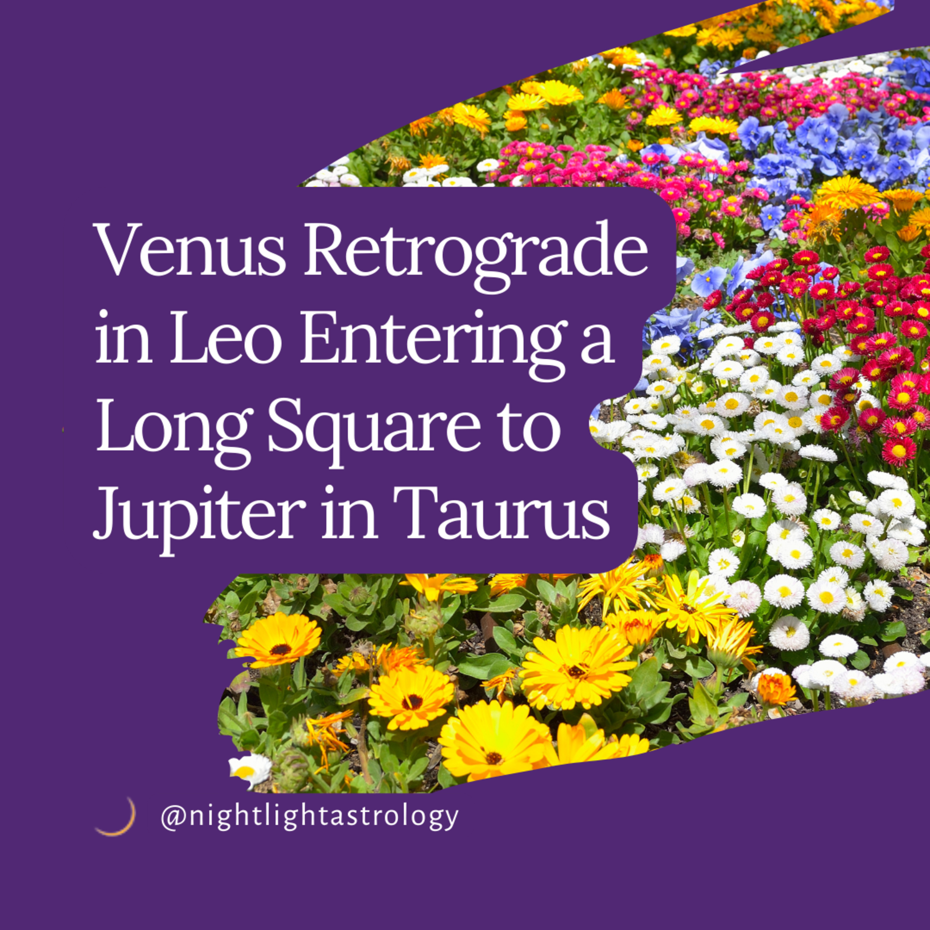 Venus Retrograde in Leo Entering a Long Square to Jupiter in Taurus