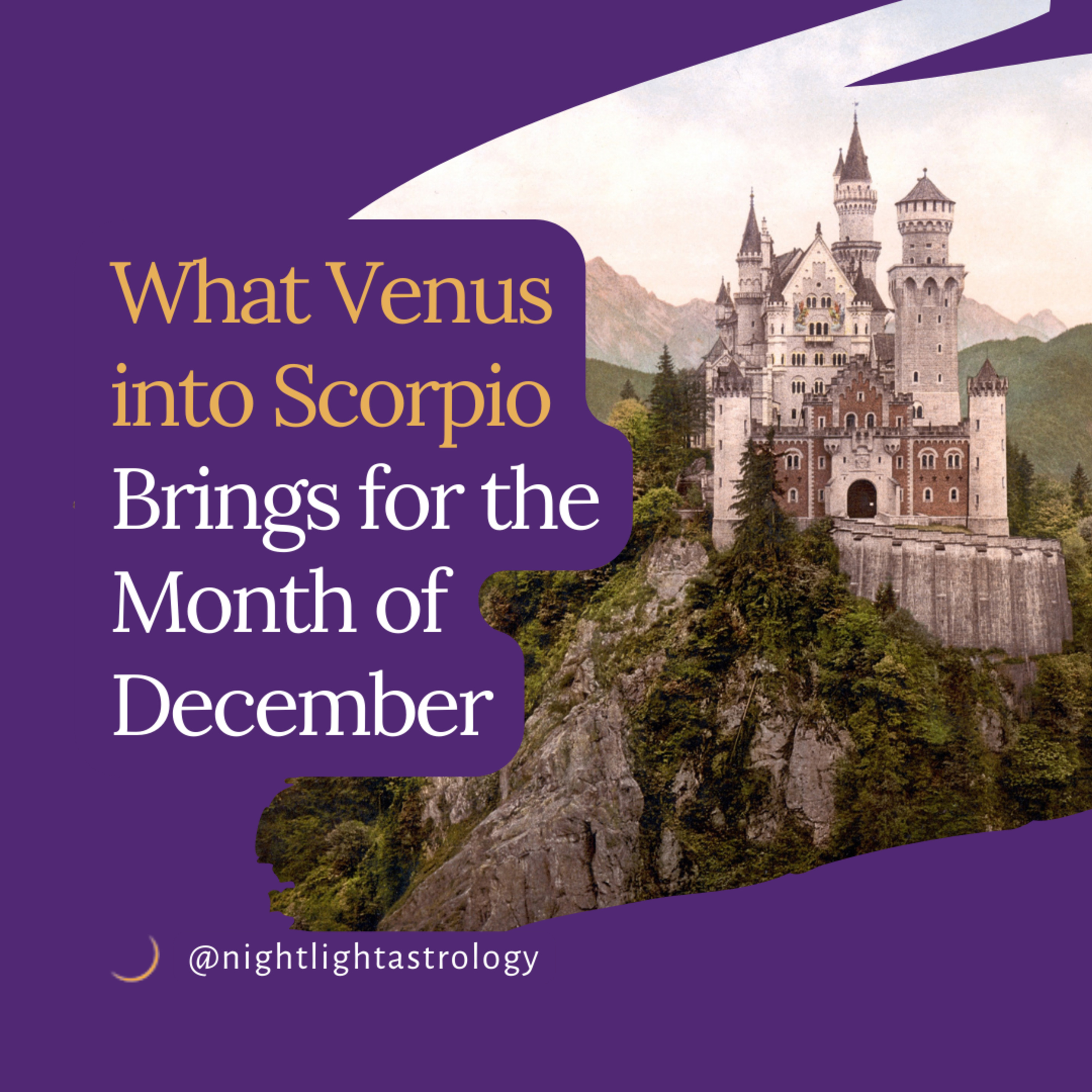What Venus into Scorpio Brings for the Month of December