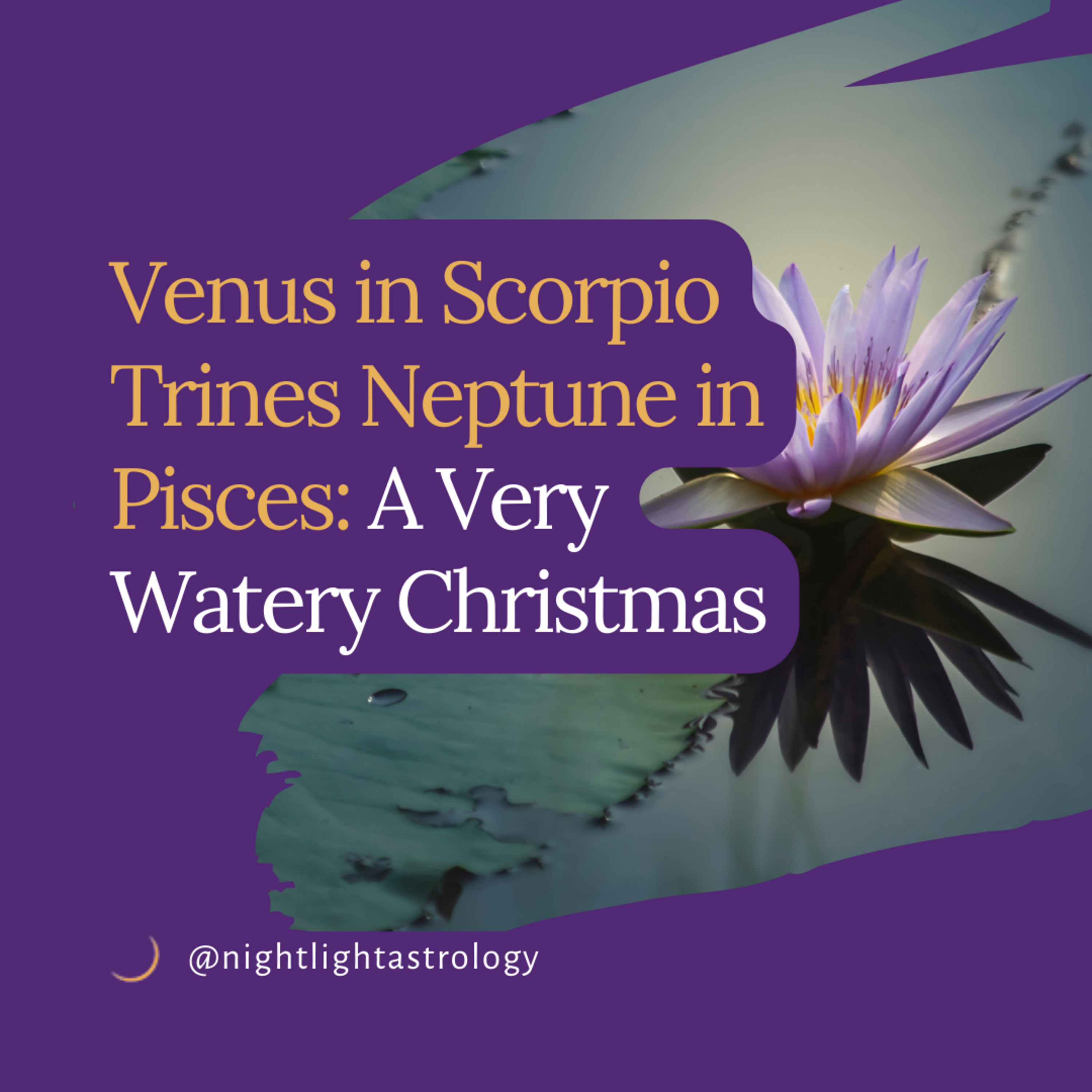 Venus in Scorpio Trines Neptune in Pisces: A Very Watery Christmas