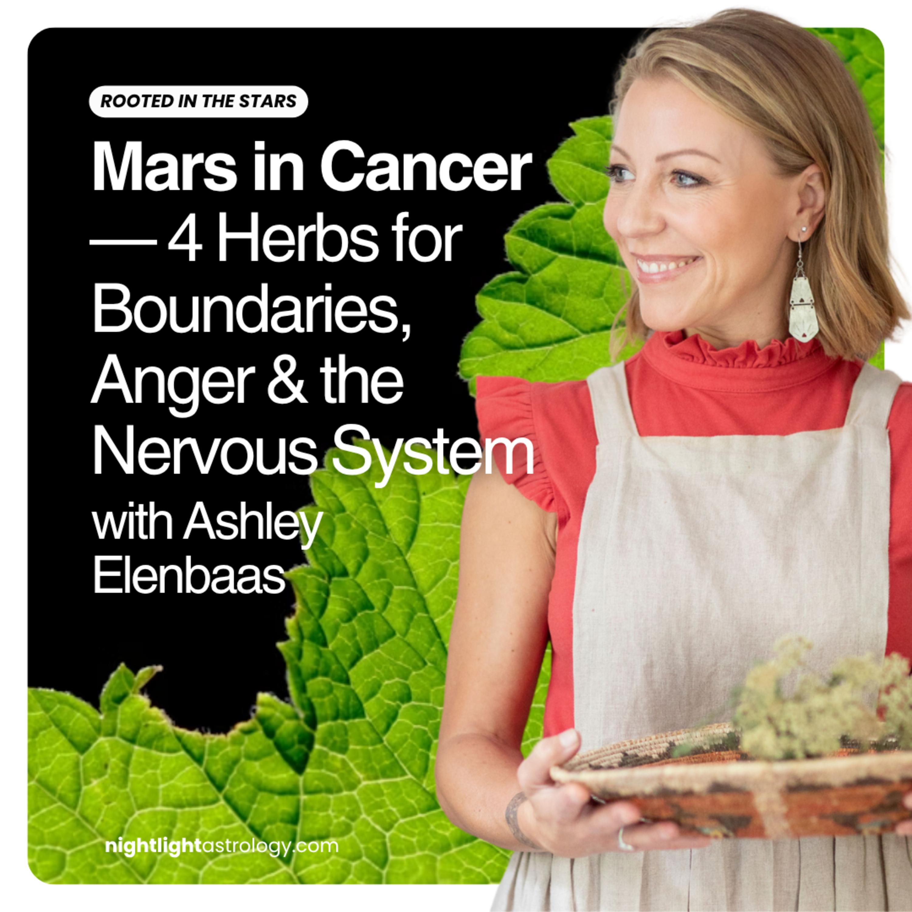 Mars in Cancer — 4 Herbs for Boundaries, Anger & the Nervous System