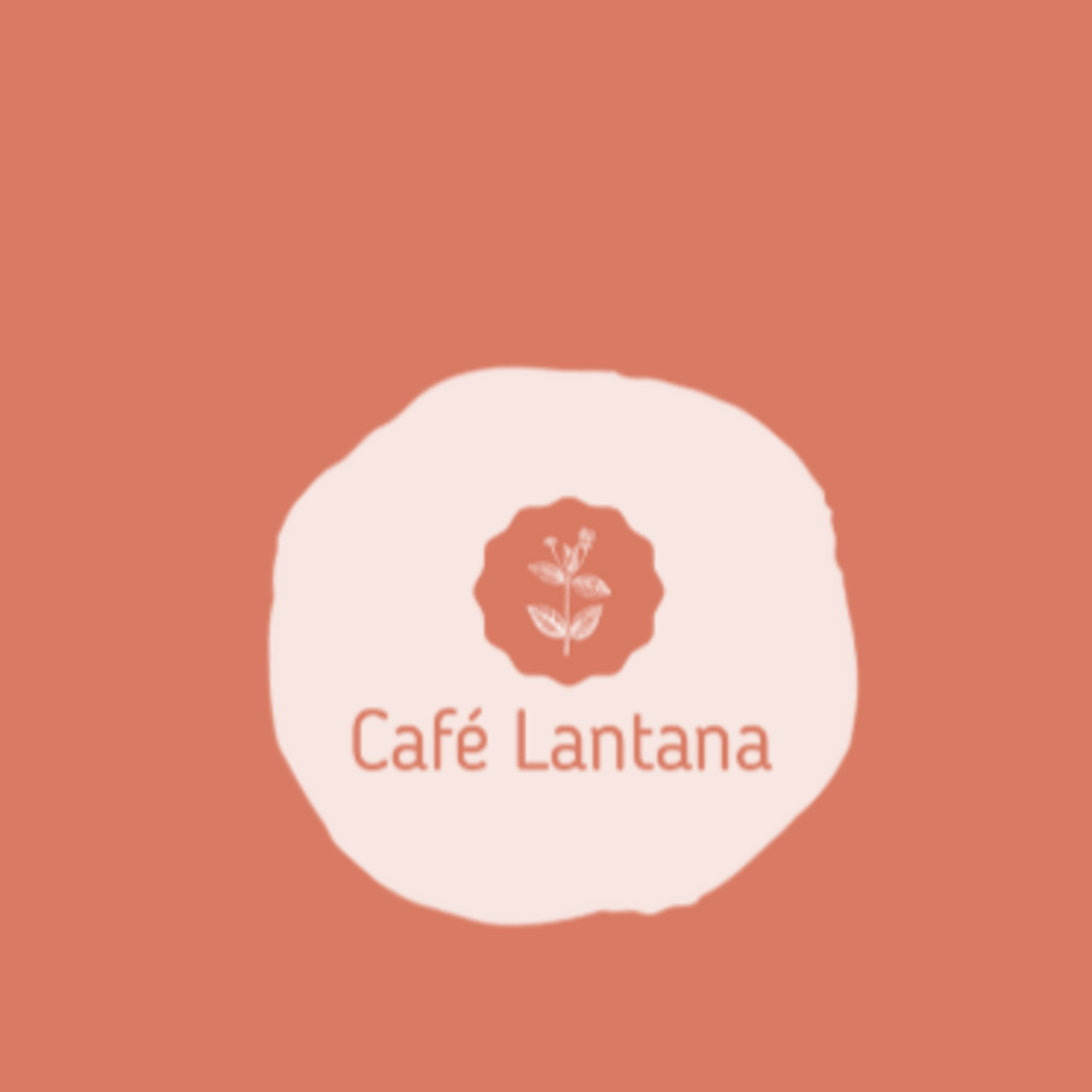 Educación Cósmica en la etapa de Taller