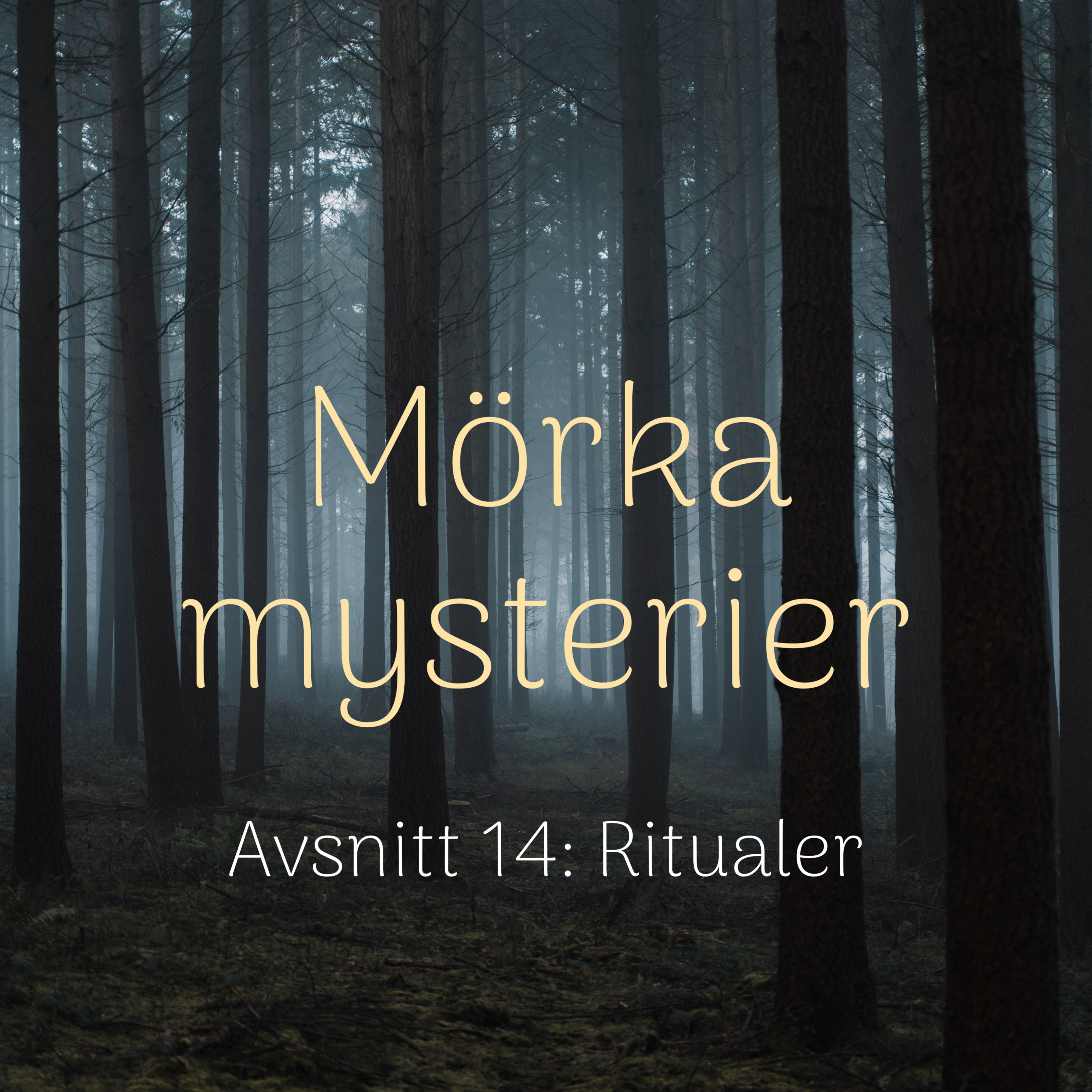 Avsnitt 14 - Ritualer episode artwork