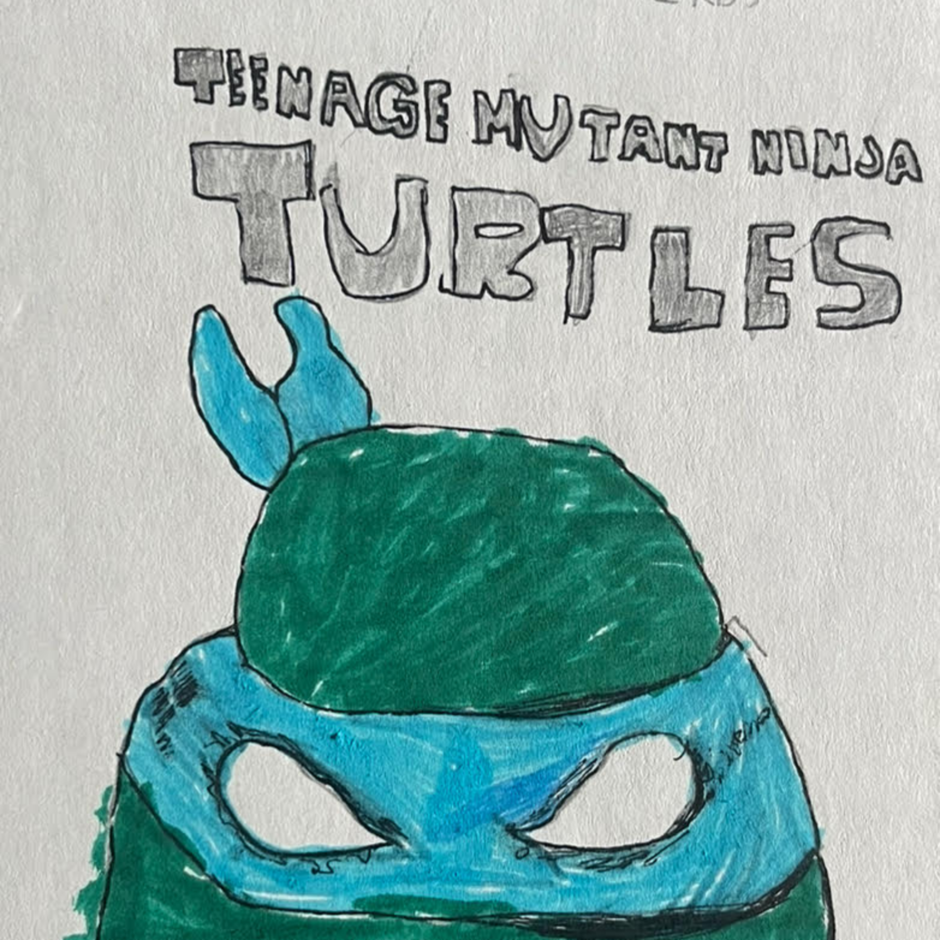 The Turtles Are for Everyone!