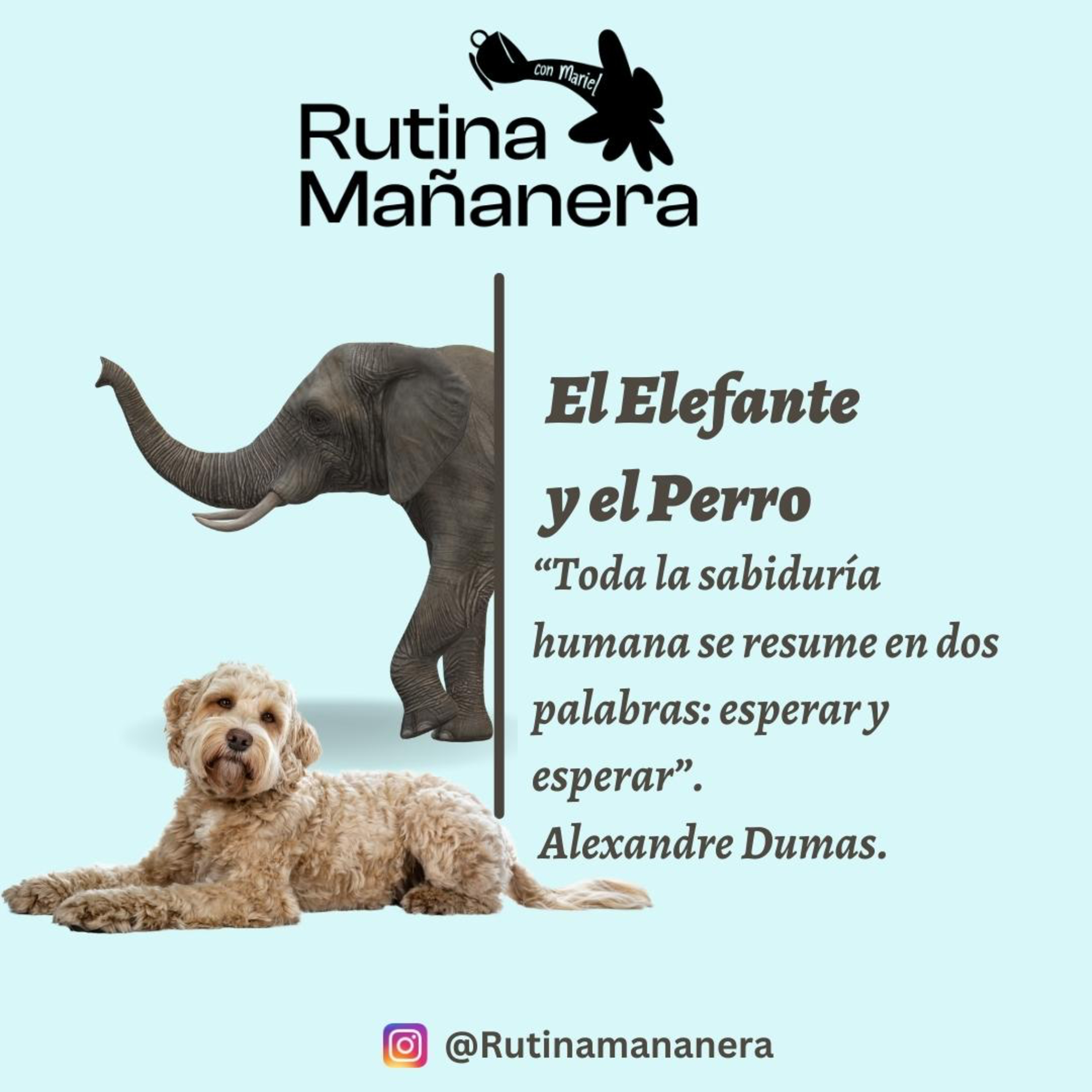Rutina Mañanera con Mariel Cabrera
