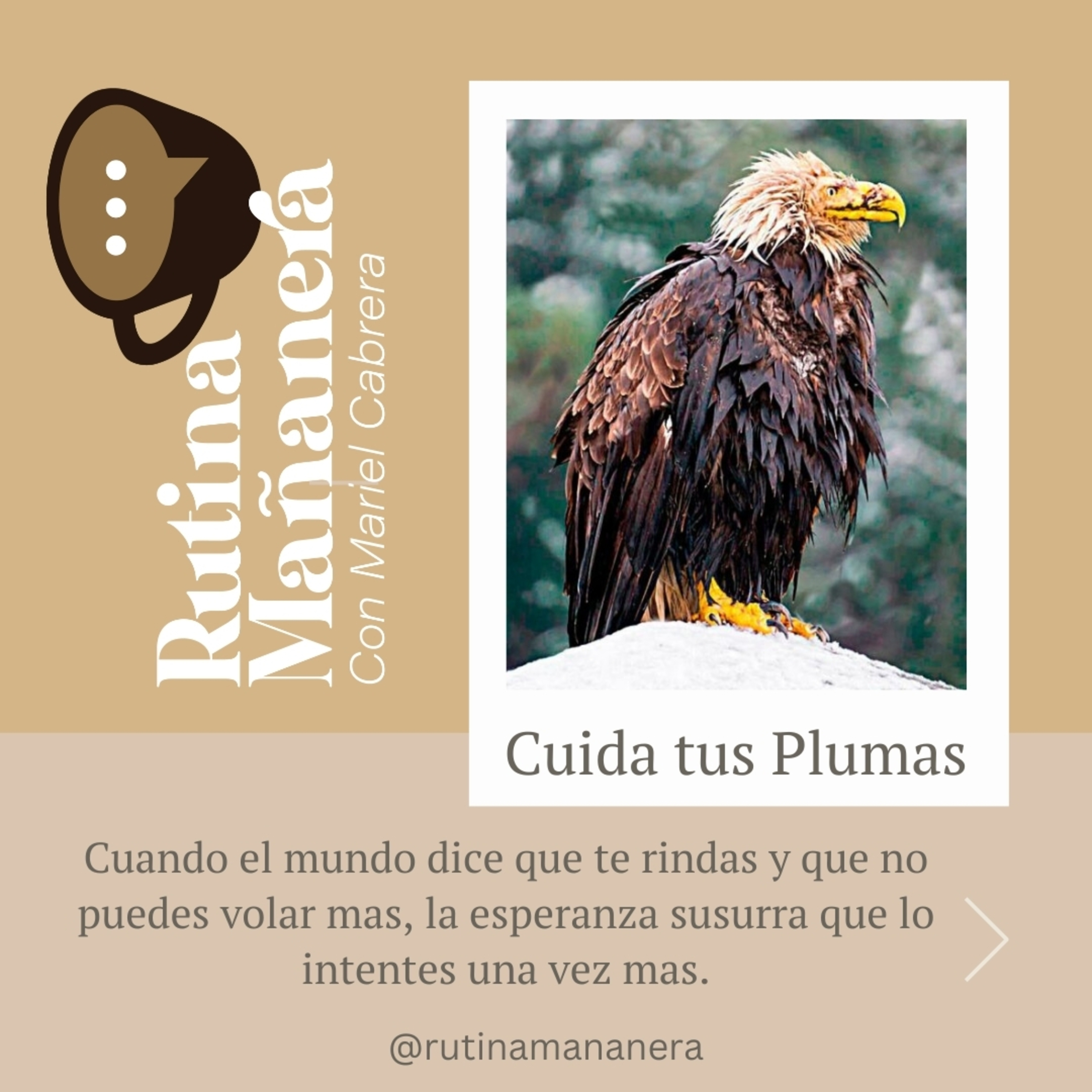 Rutina Mañanera con Mariel Cabrera