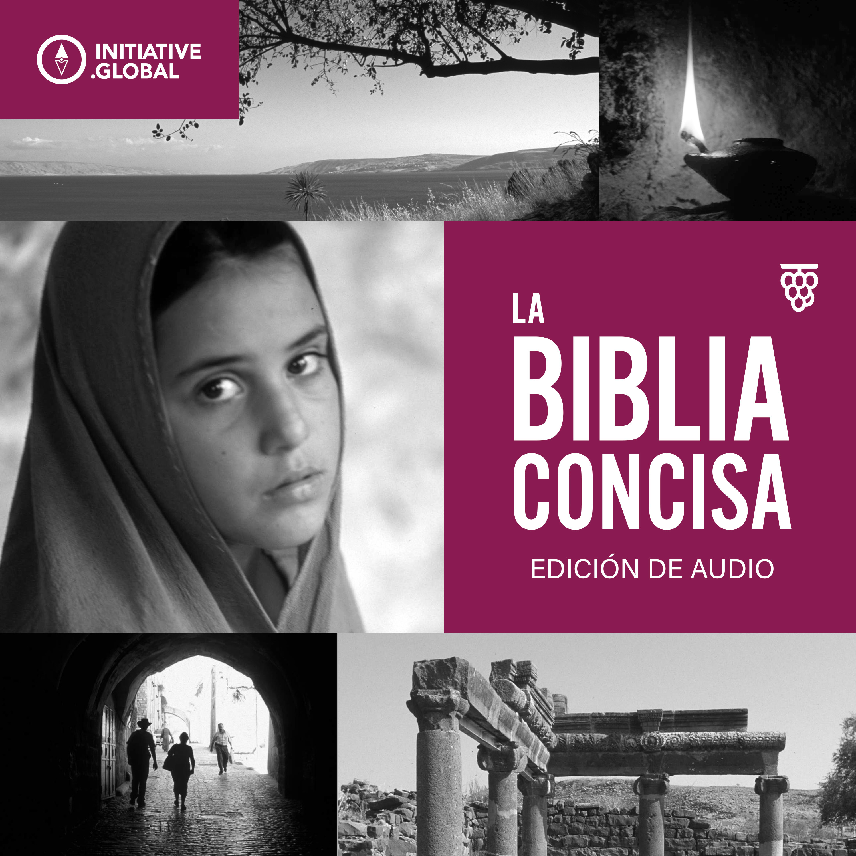 La Biblia Concisa