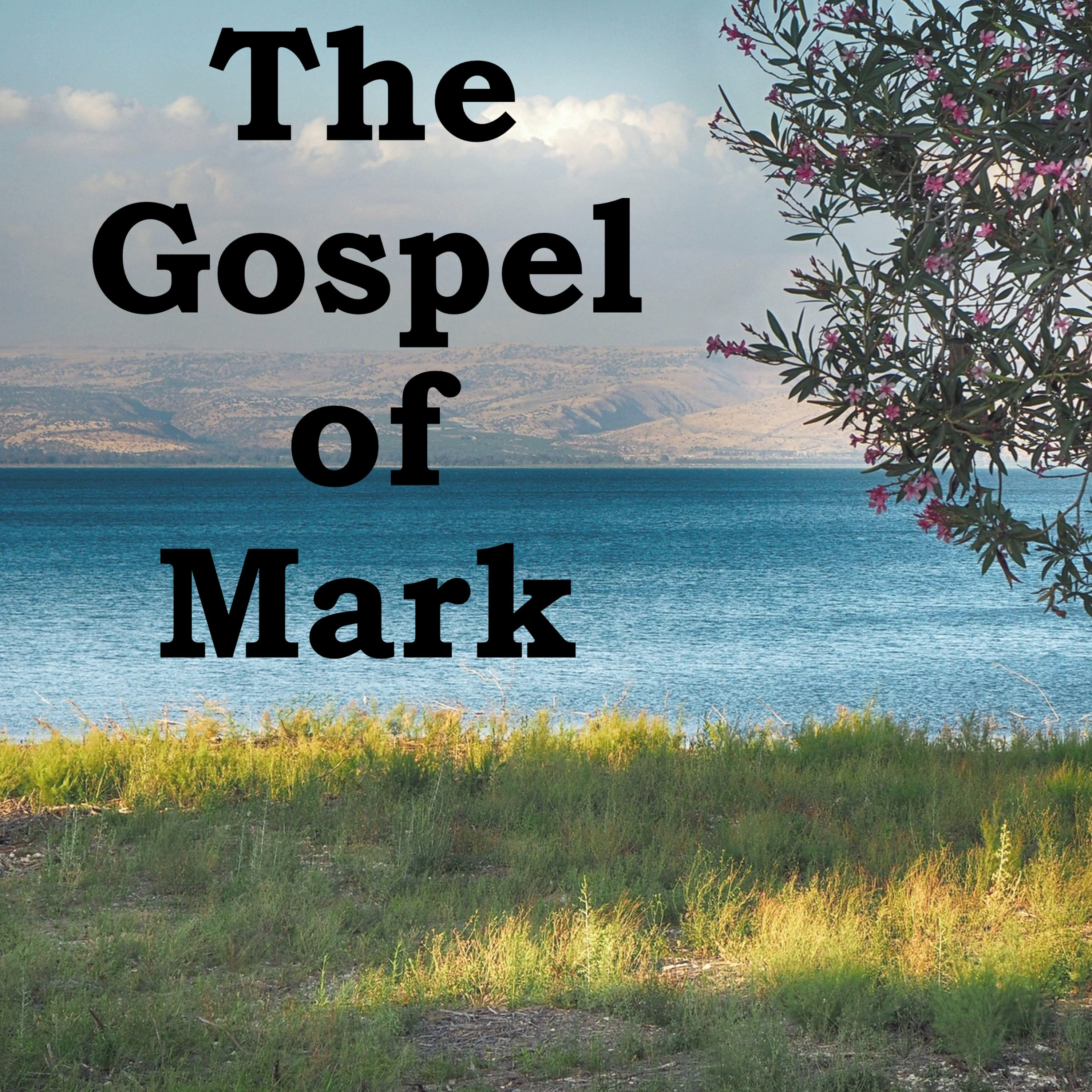 17- The Parable of the Sower, the Seed, and the Soil (Mark 4:1-20) episode artwork