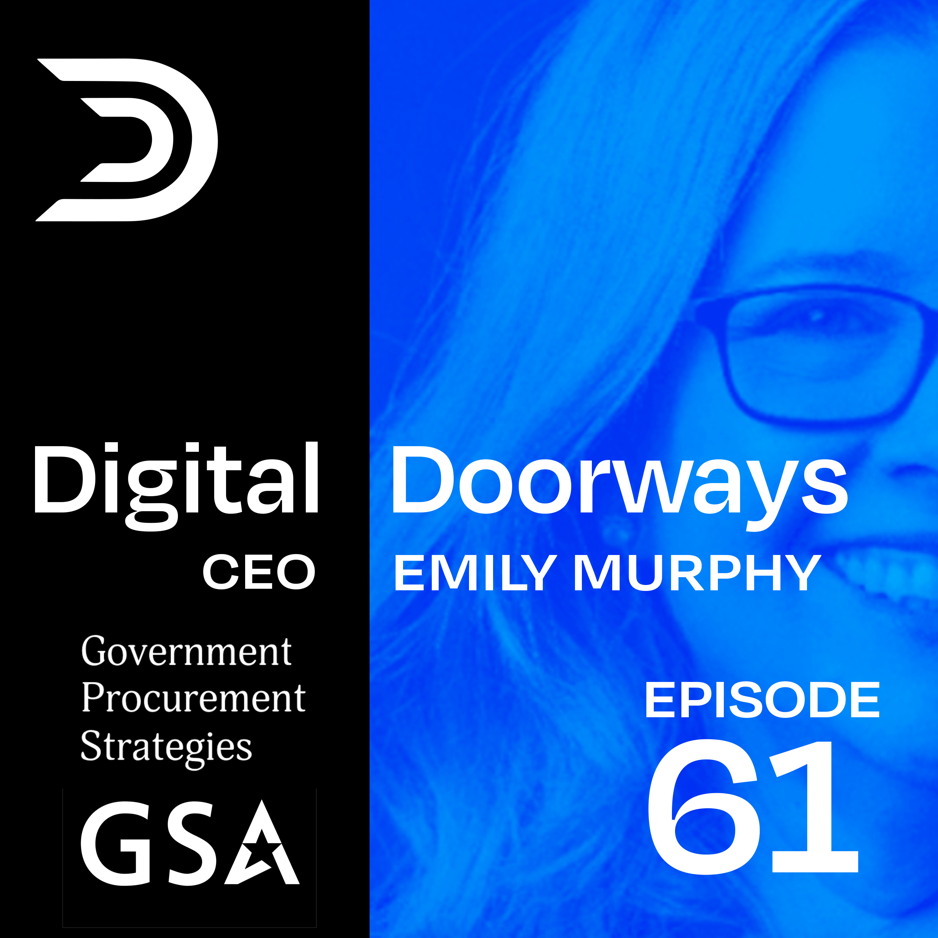 61 - From Running GSA to Advising CEOs: How Federal Markets Actually Decide w/Emily Murphy - CEO of Government Procurement Strategies episode artwork