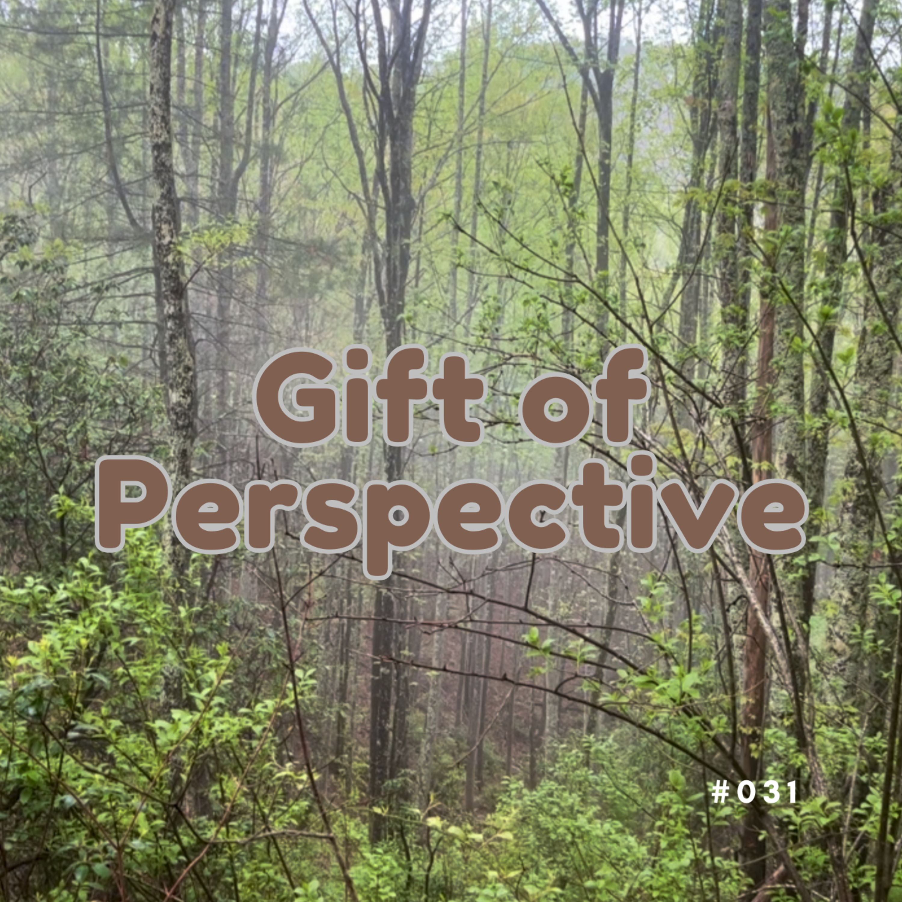 #031 Gift of Perspective episode artwork