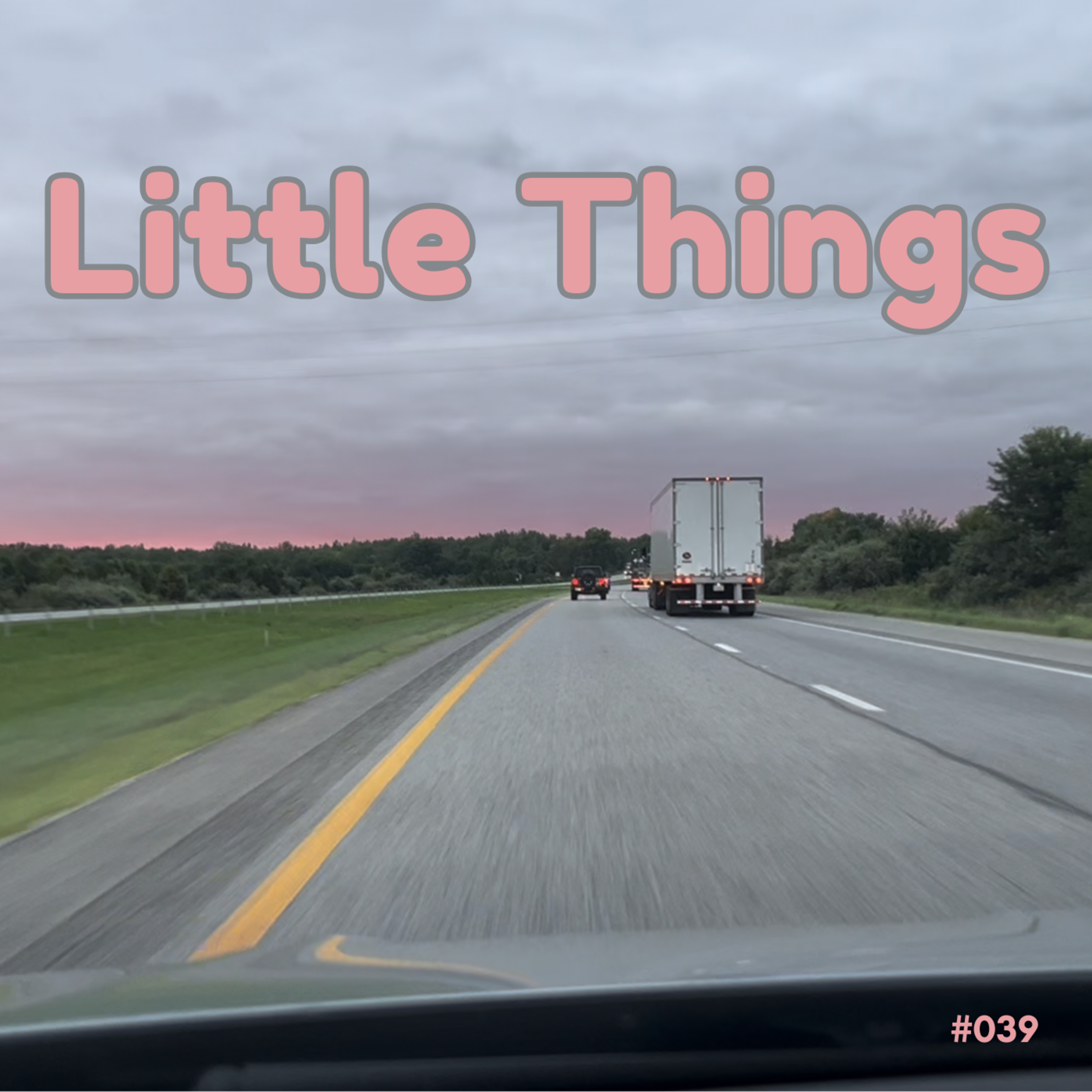 #039 Little Things episode artwork
