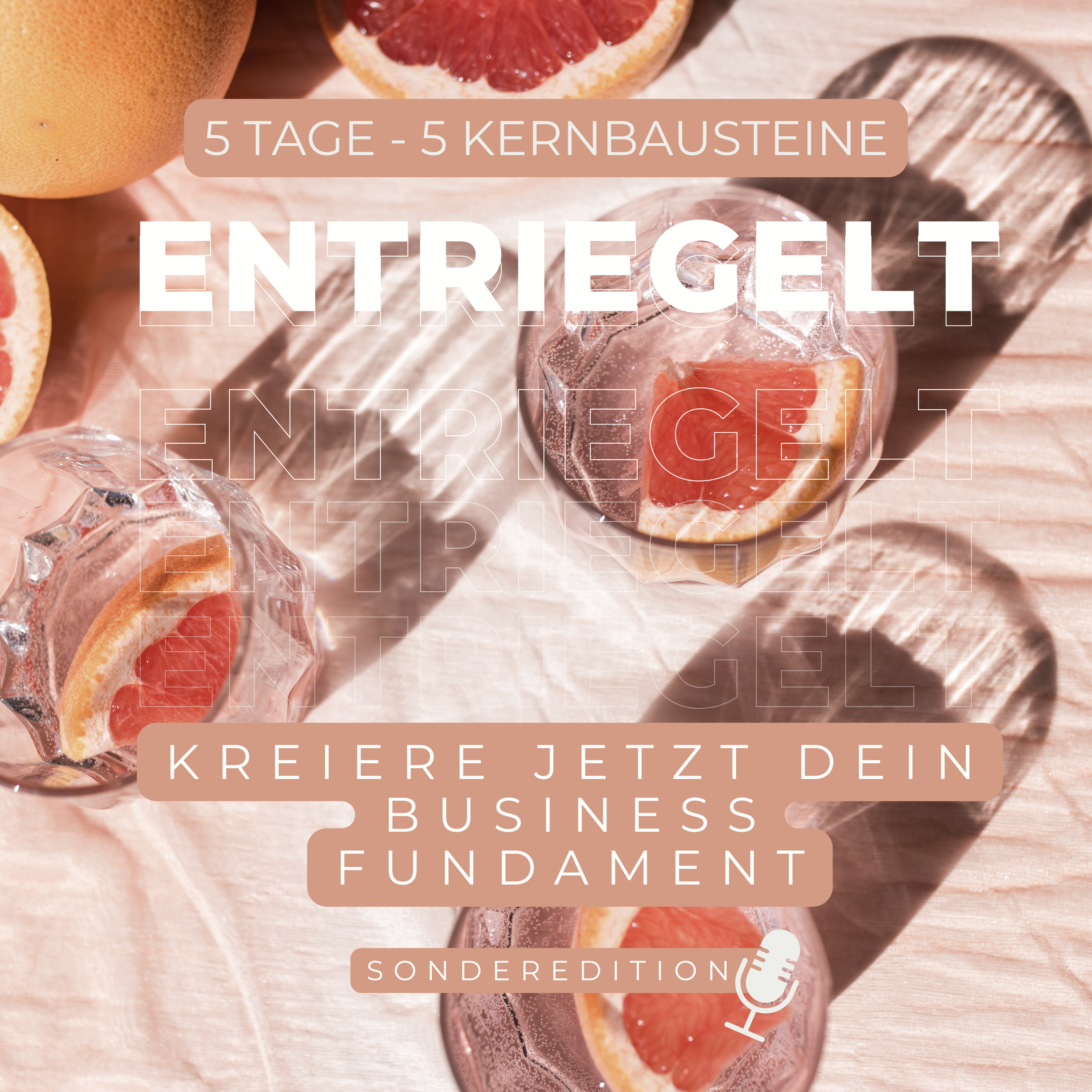 ENTRIEGELT - Der inspirierende Business Talk für Selbstständige