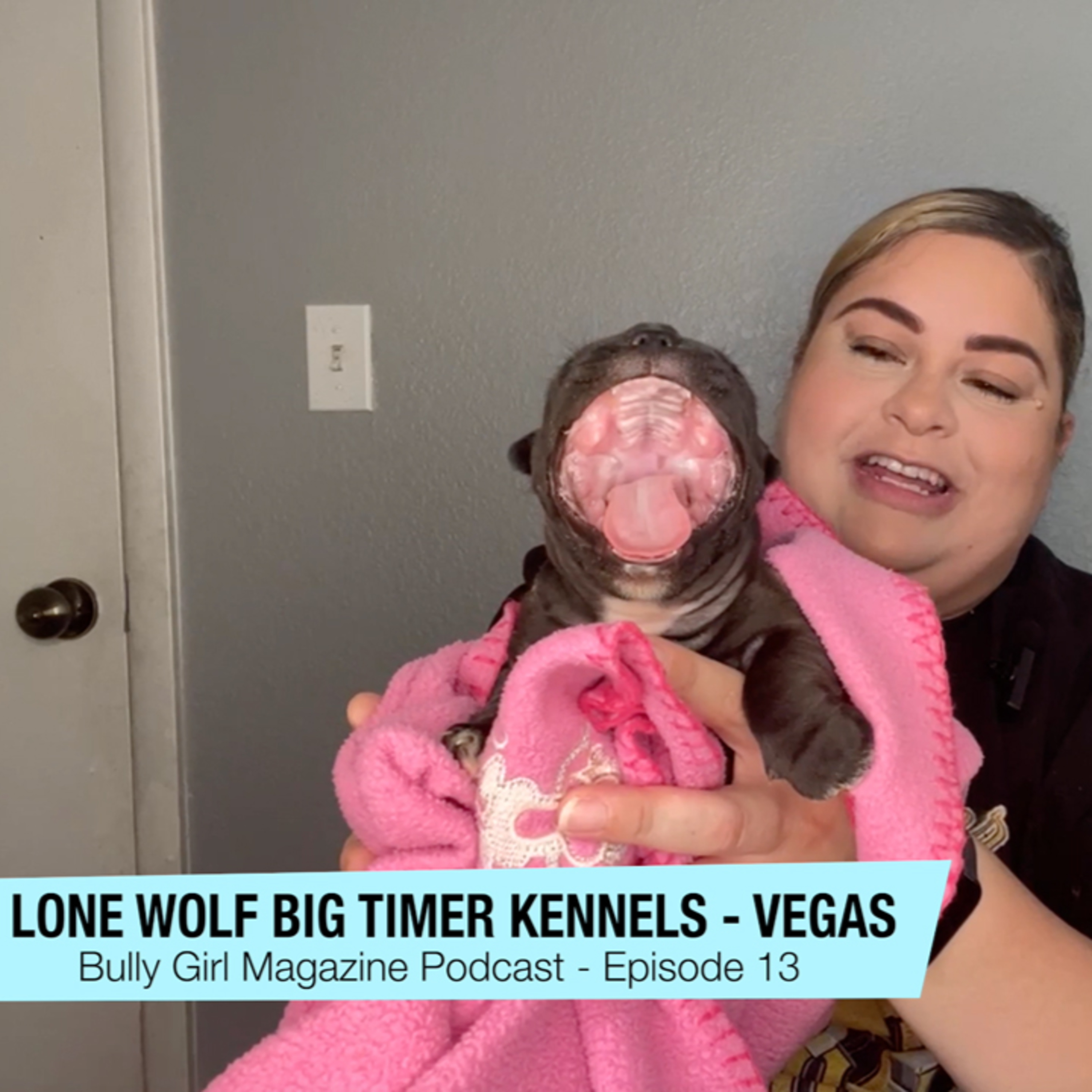Bully Girl Magazine Podcast
