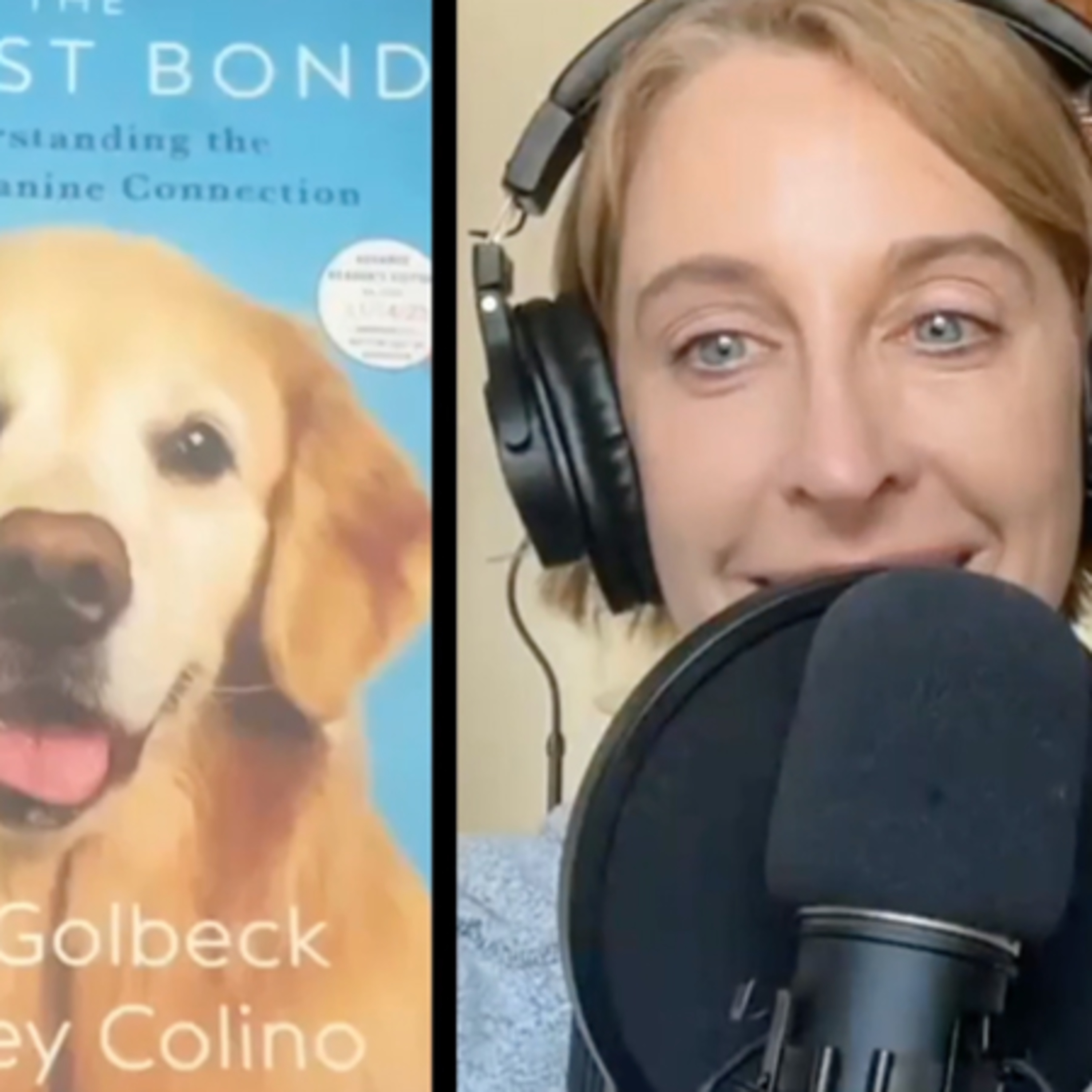 Bully Girl Magazine Podcast