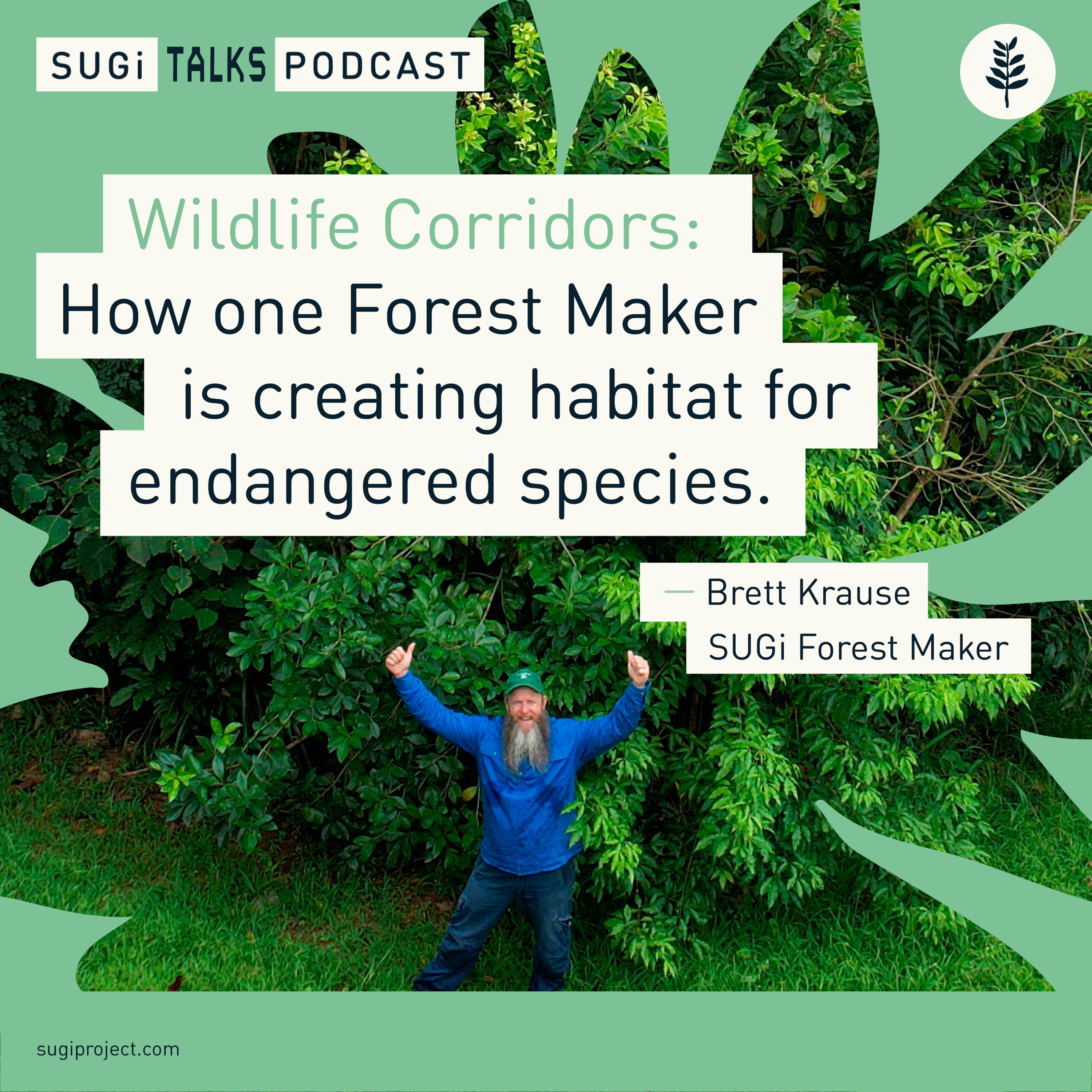 Wildlife Corridors: How one Forest Maker is creating habitat for endangered species in Queensland, Australia.  episode artwork