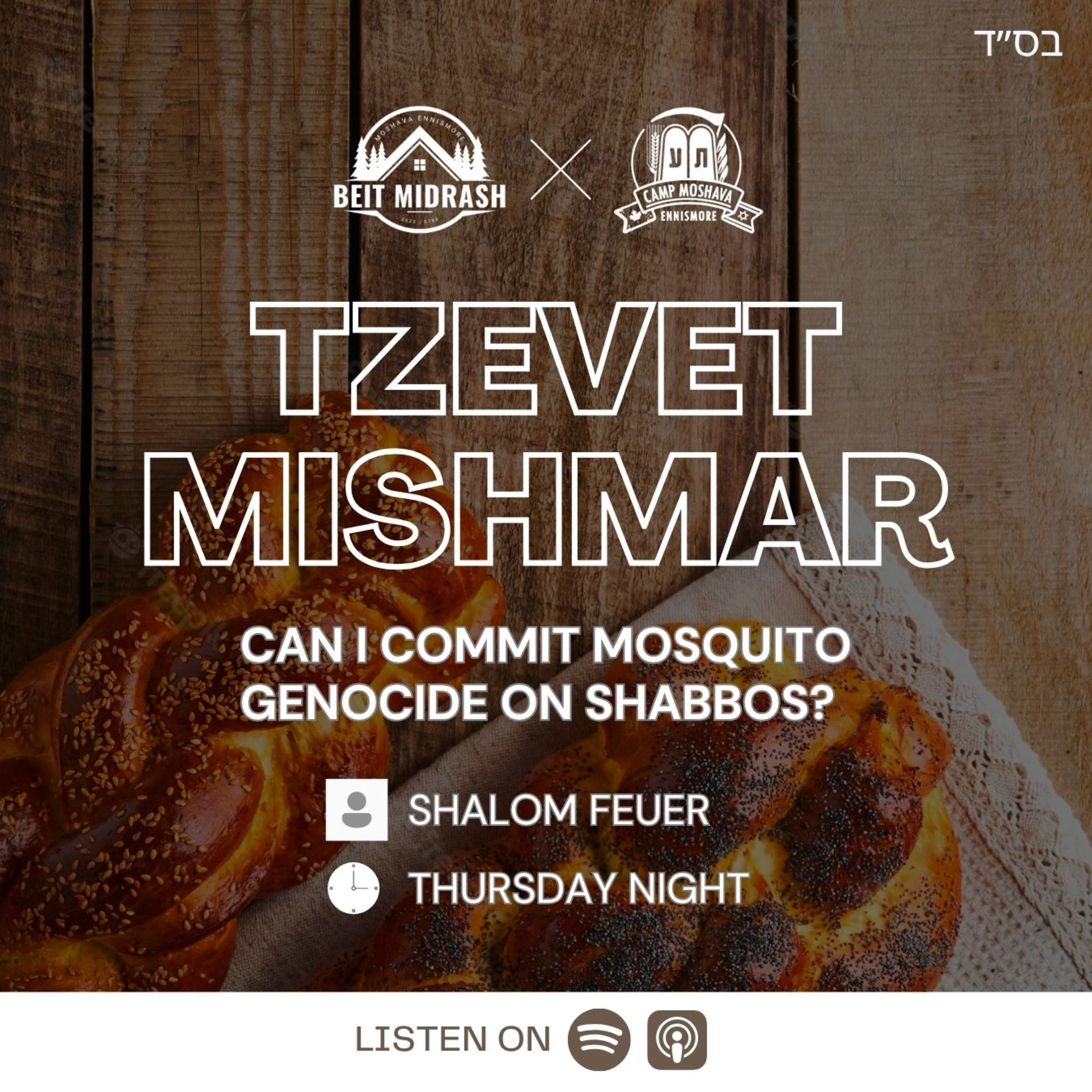 Can I Commit Mosquito Genocide on Shabbos? - Shalom Feuer episode artwork
