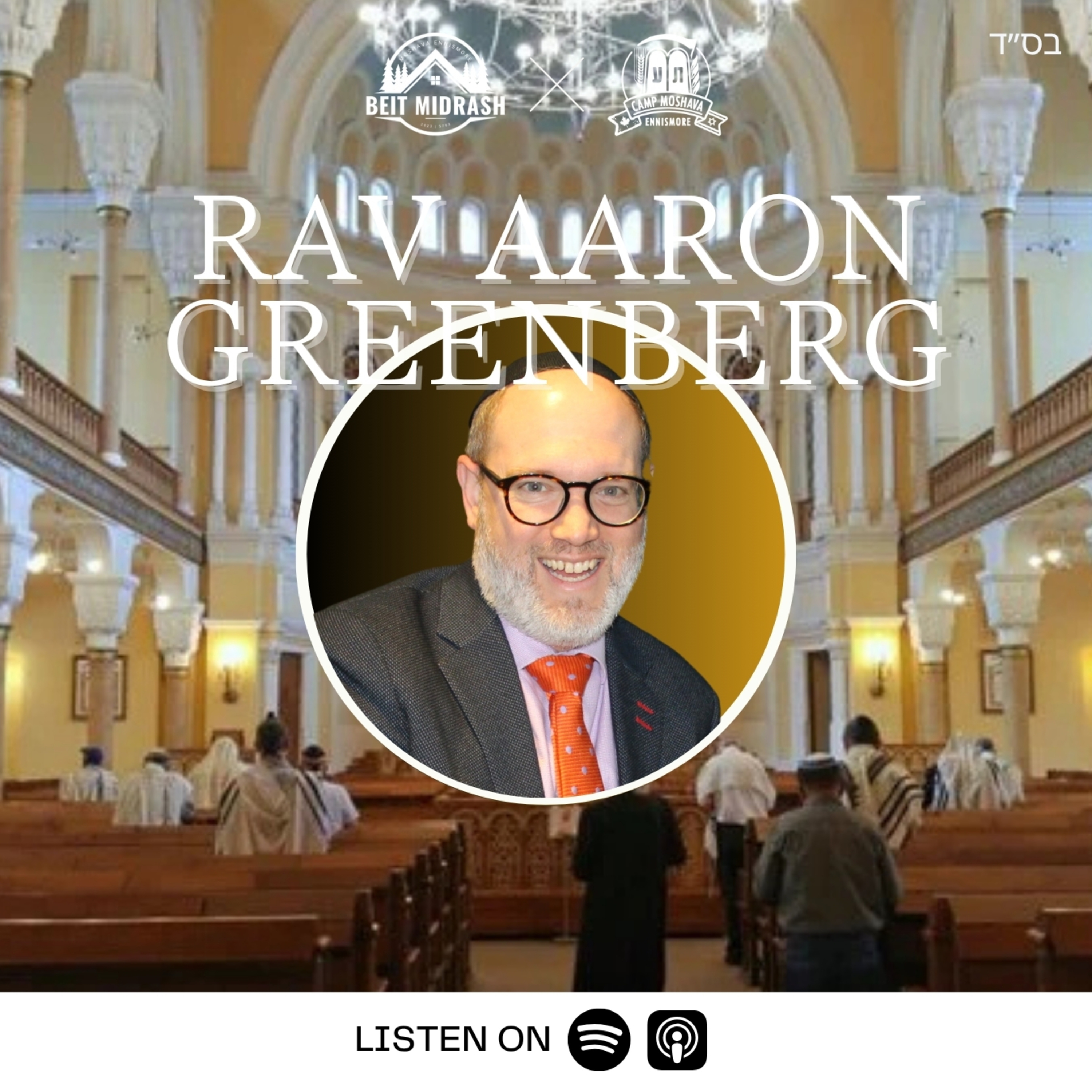 What Does is Mean to be Holy? - Rav Aaron Greenberg episode artwork