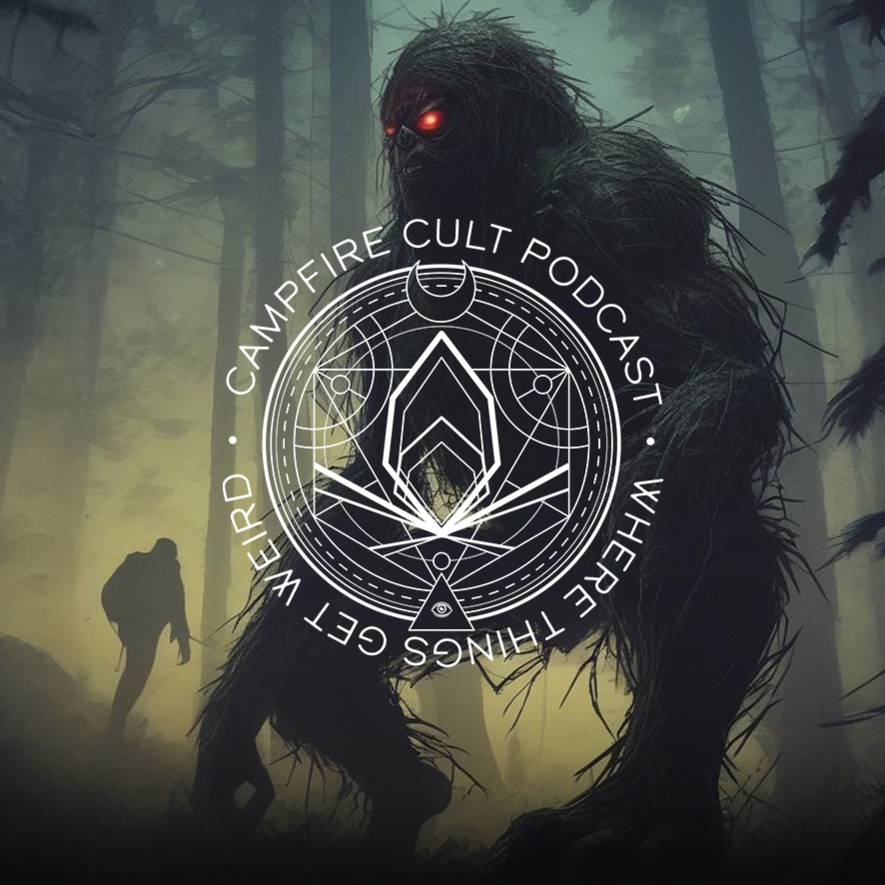 28 - Shadow Figures, Ghosts, Reality Shifts, a Spider-like Creature and much more! episode artwork