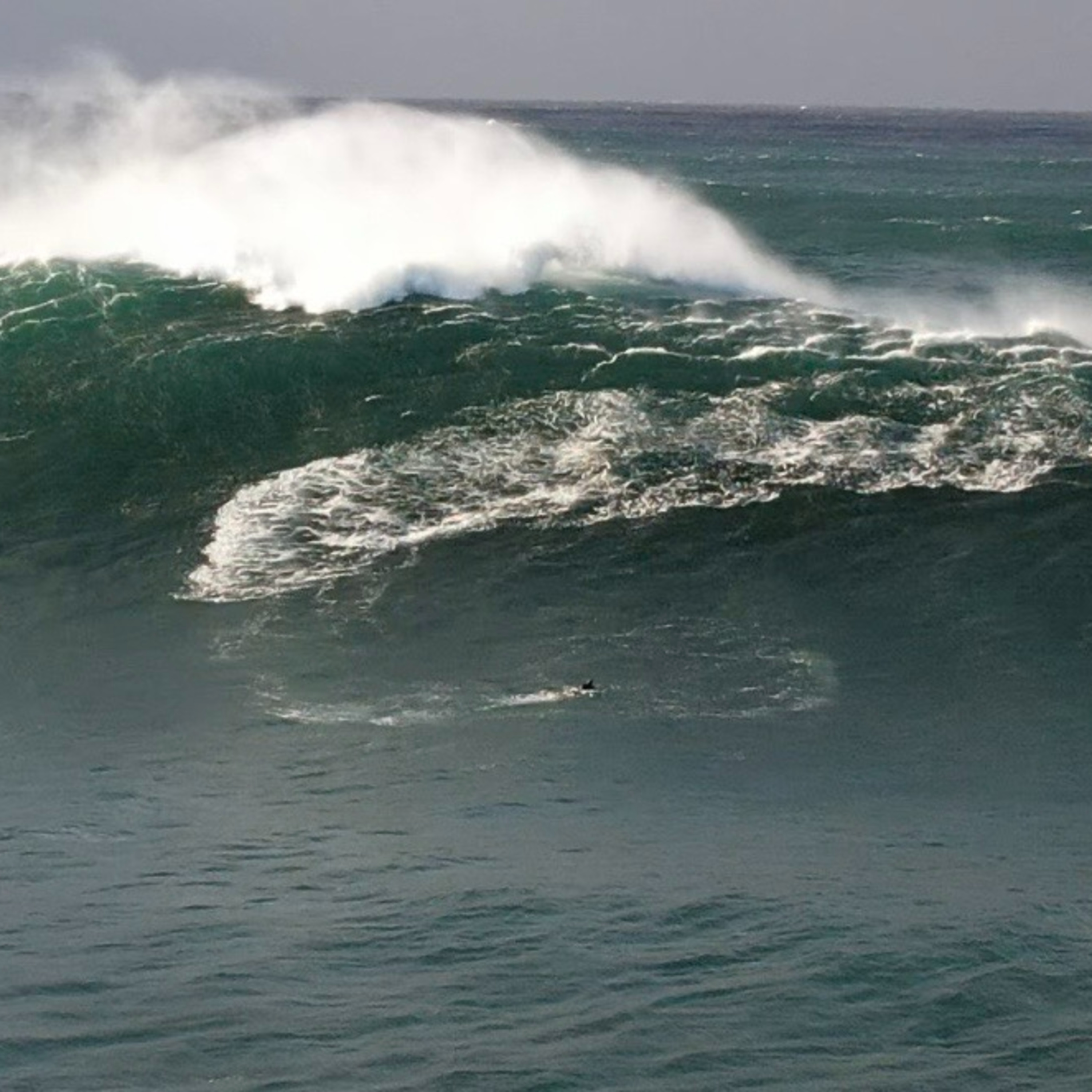 Raw Saltwater Stories - The Aclassic Podcast