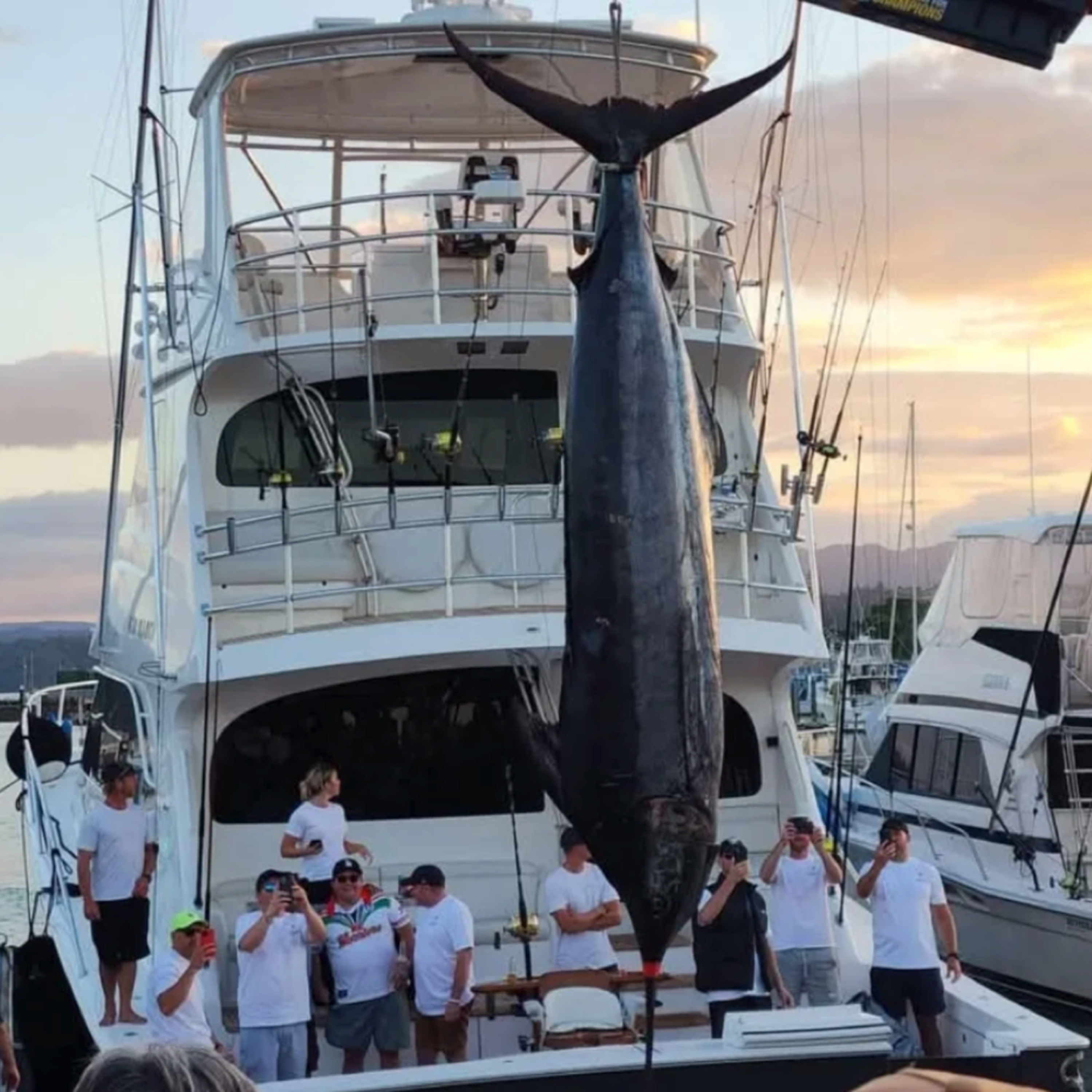 Raw Saltwater Stories - The Aclassic Podcast
