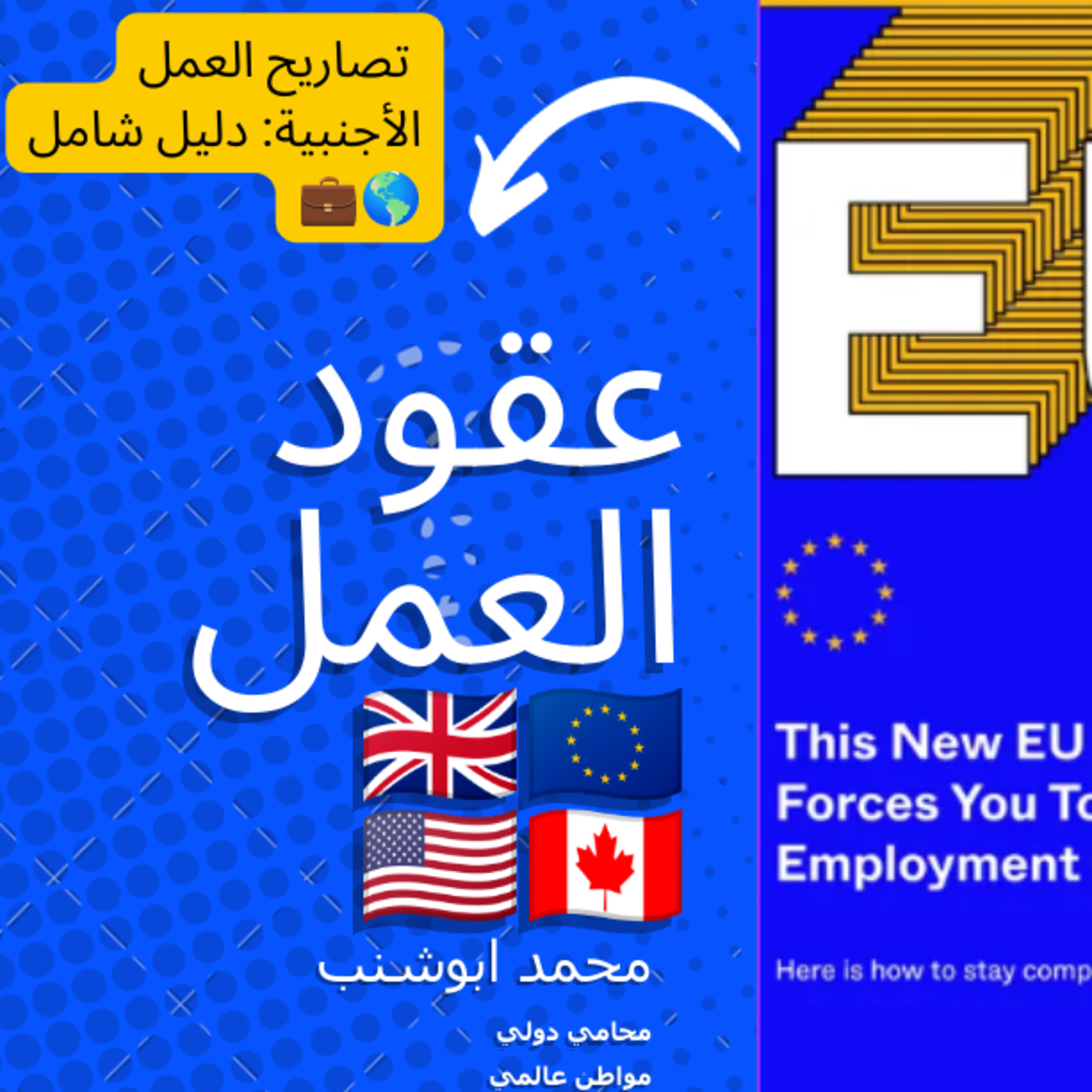 019 كيف تحصل على تصريح عمل في الخارج: المملكة المتحدة، الاتحاد الأوروبي، كندا، وأمريكا | تجنب الاحتيال episode artwork