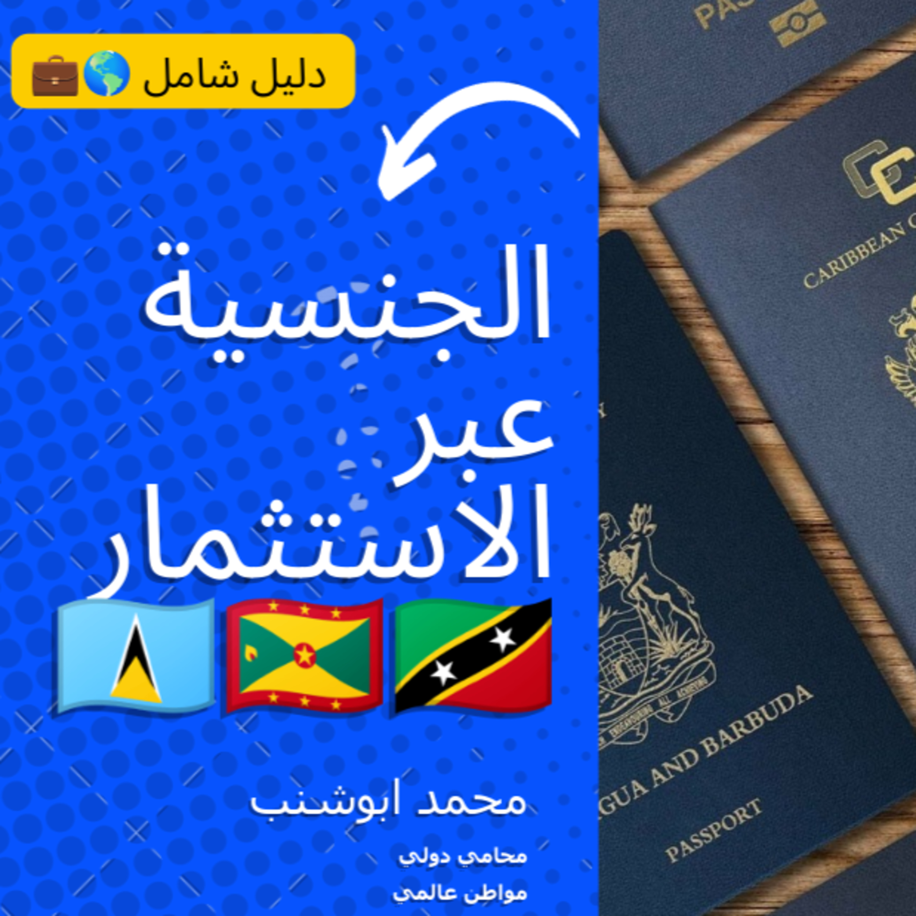 027 كيفية الحصول على الجنسية عبر الاستثمار episode artwork