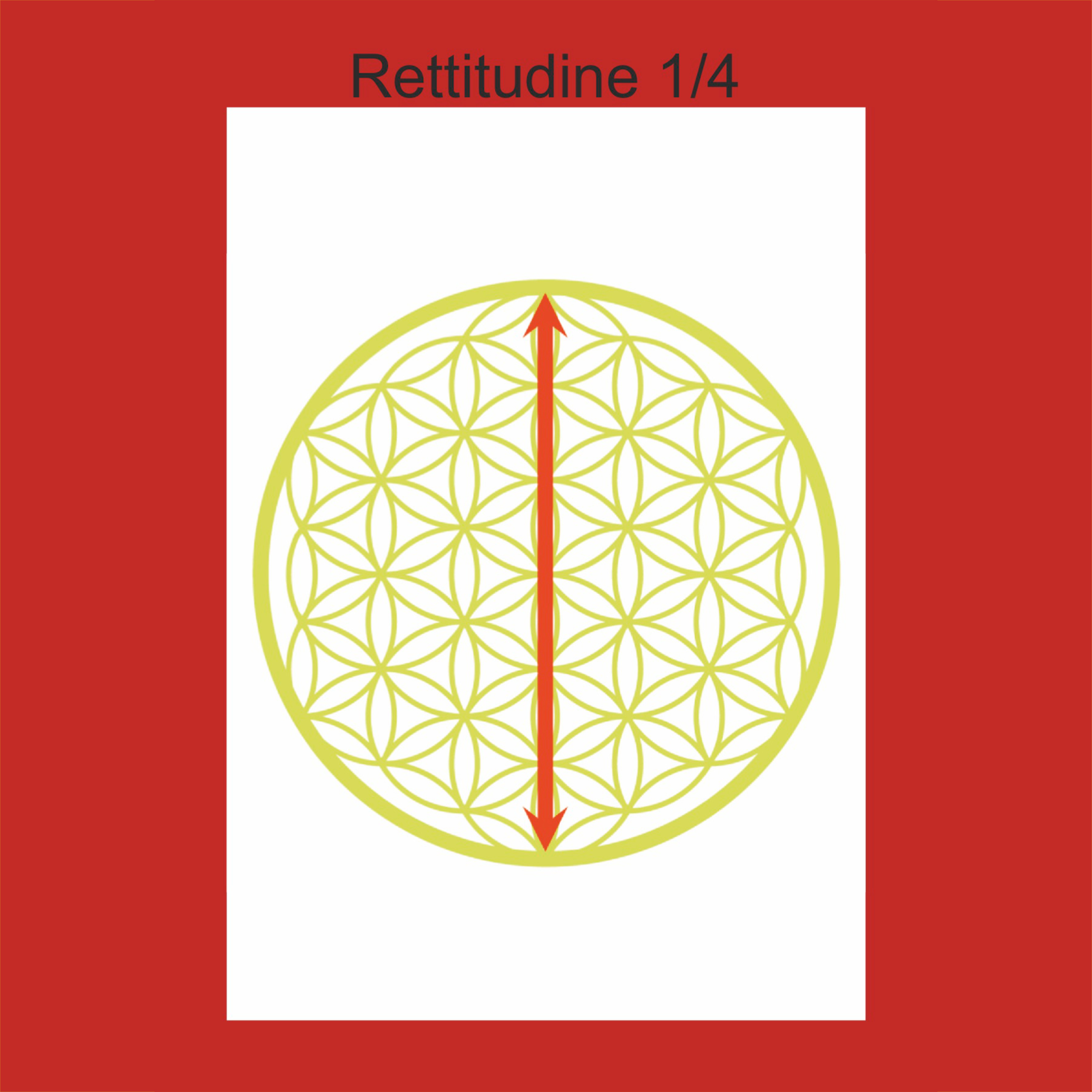 Meditazione sul valore della Rettitudine episode artwork