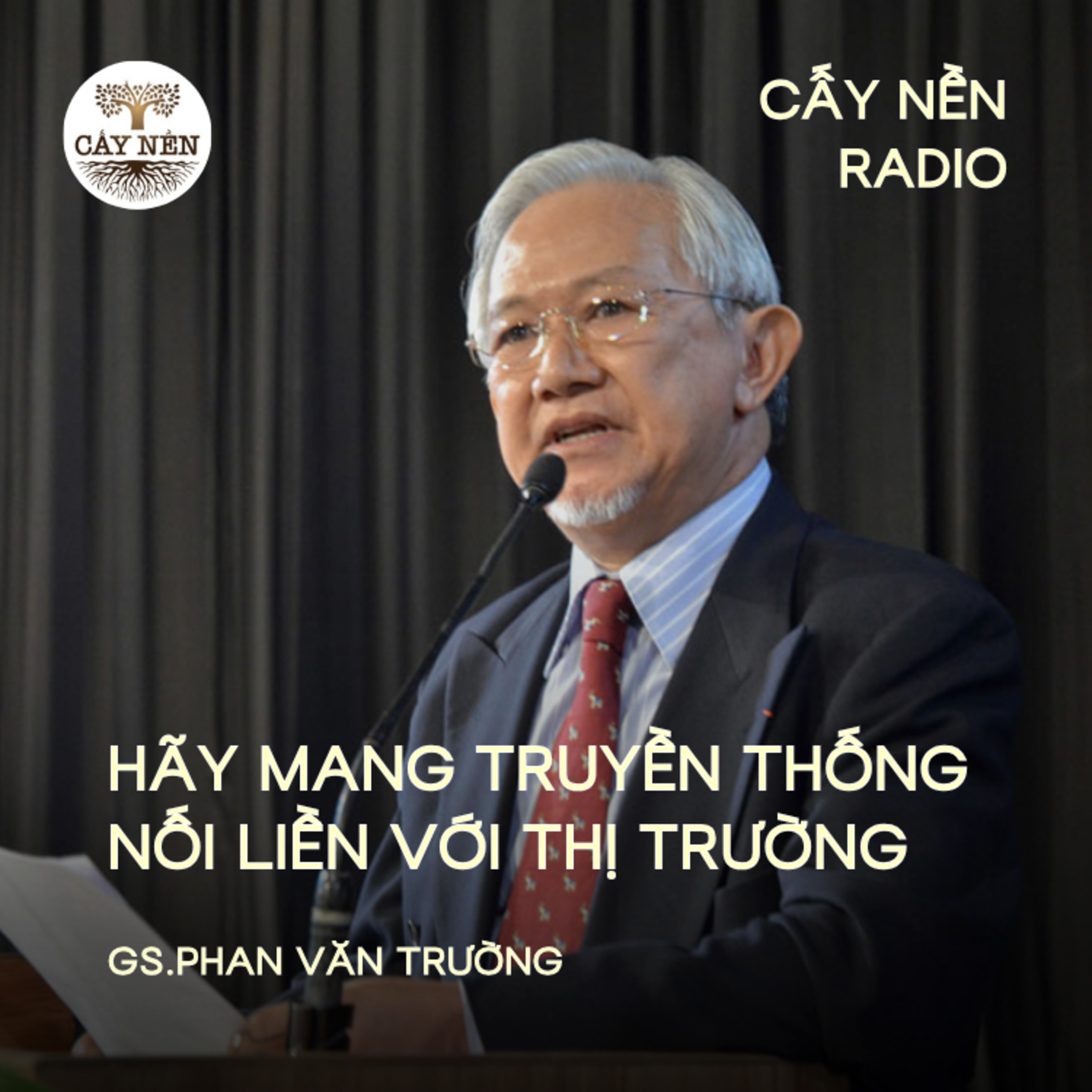 Hãy mang TRUYỀN THỐNG nối liền với THỊ TRƯỜNG | GS. Phan Văn Trường @ Mekong Startup Forum 2024 episode artwork