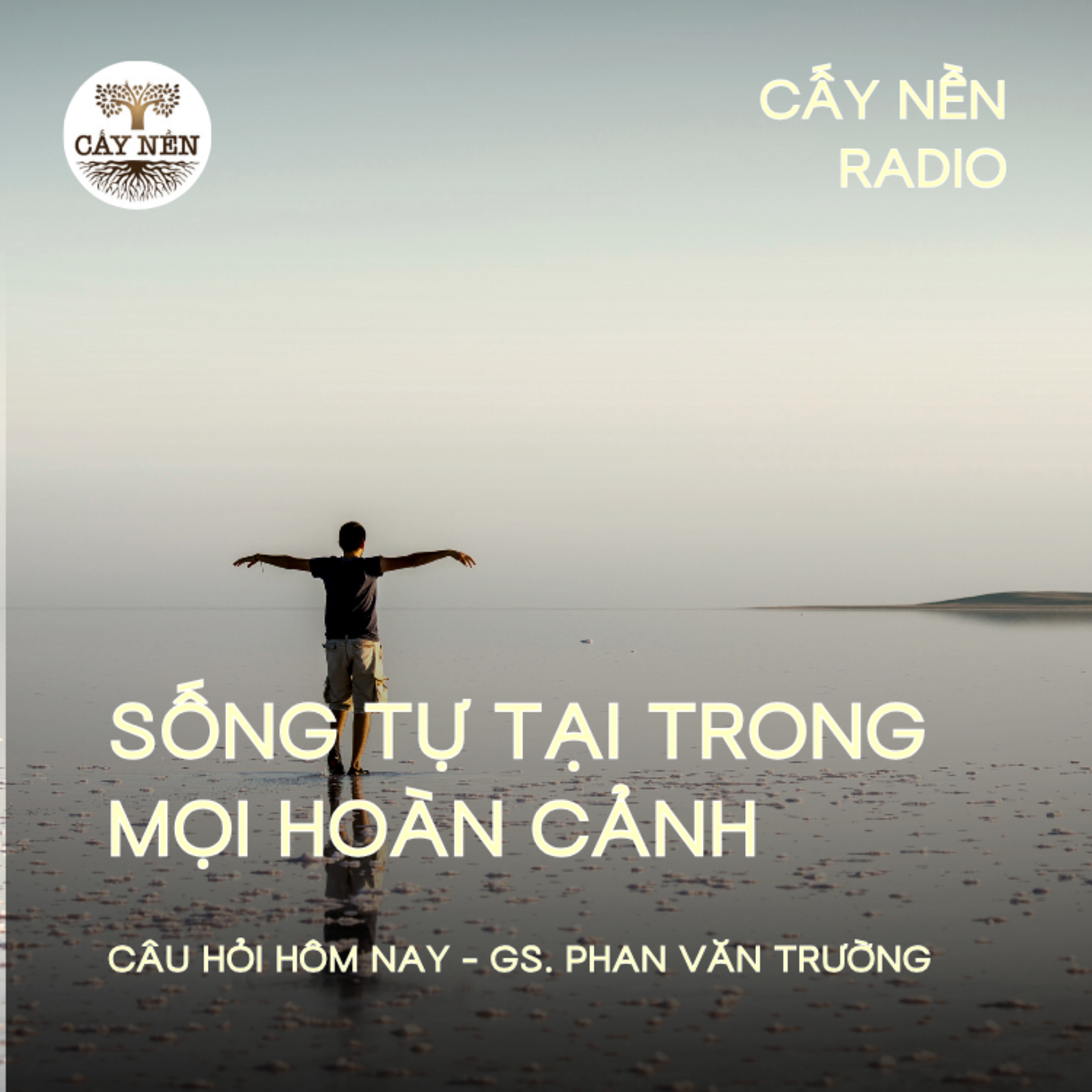 Sống Tự Tại Trong Mọi Hoàn Cảnh | GS. Phan Văn Trường | Cấy Nền Radio | #CauHoiHomNay125 episode artwork