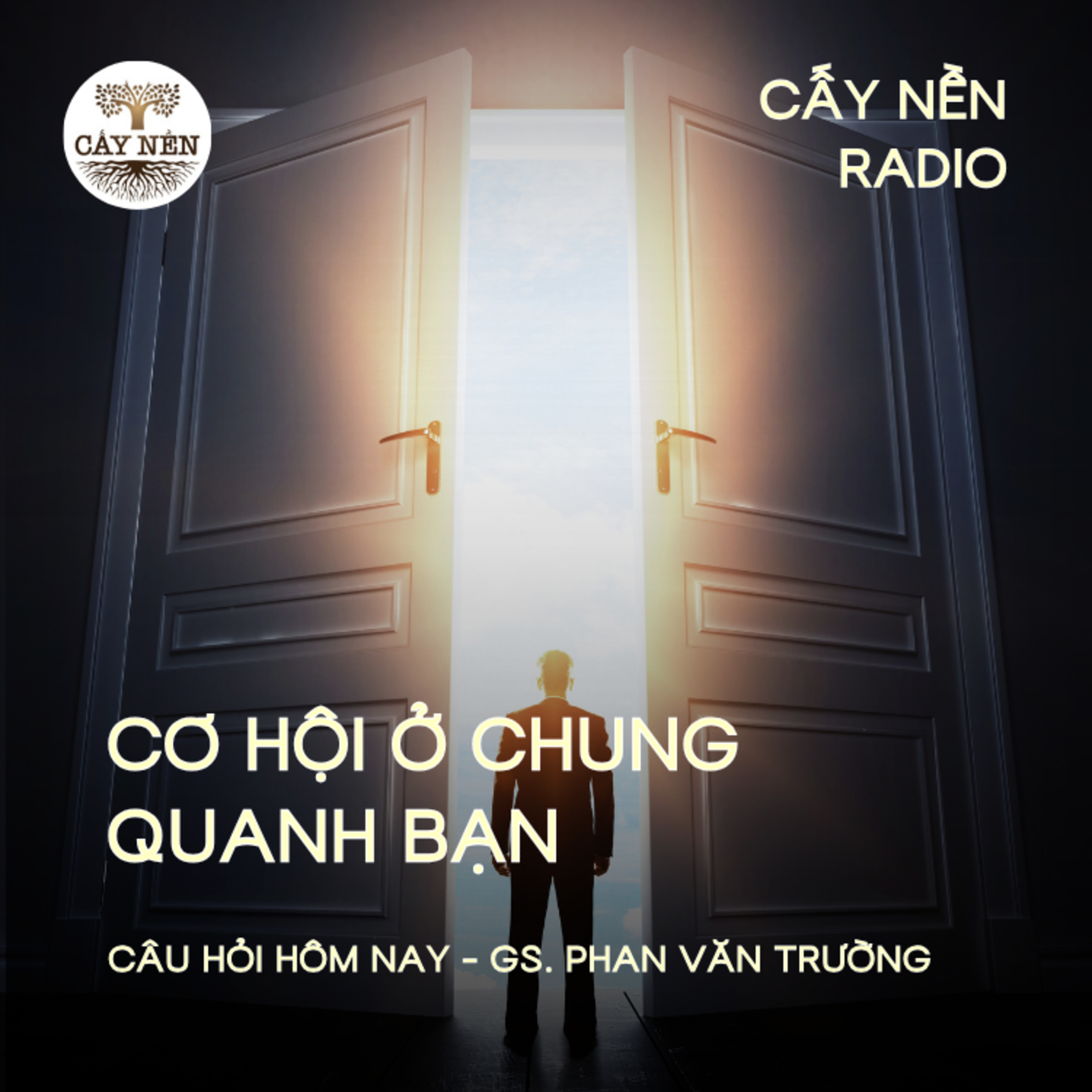 Cơ hội ở chung quanh bạn, bạn có thấy? | GS Phan Văn Trường | Giọng đọc: Đặng Hằng | Cấy Nền Radio Cơ hội ở chung quanh bạn, bạn có thấy? | GS Phan Văn Trường | Giọng đọc: Đặng Hằng | Cấy Nền Radio