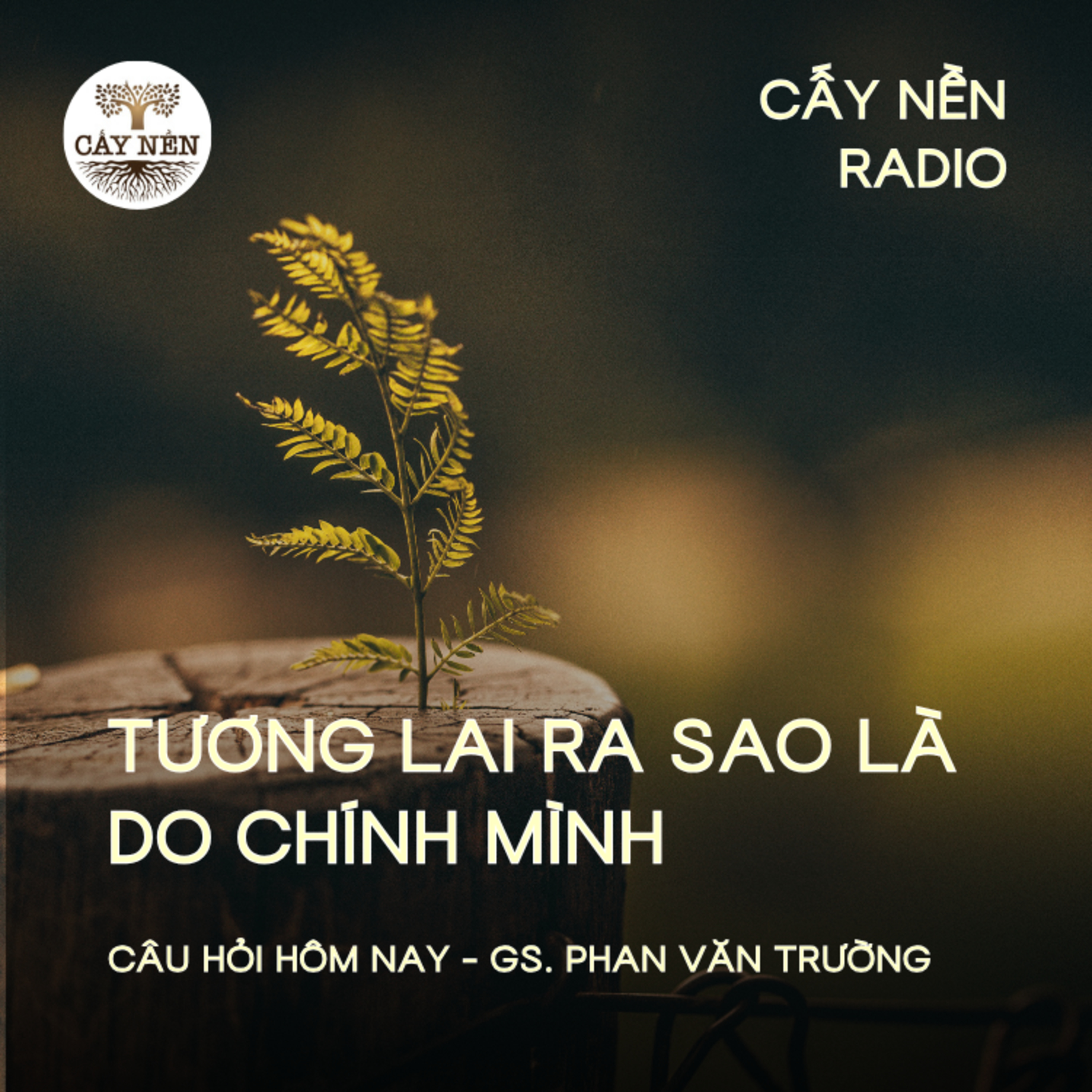 Tương lai ra sao là do chính mình | GS Phan Văn Trường | Cấy Nền Radio