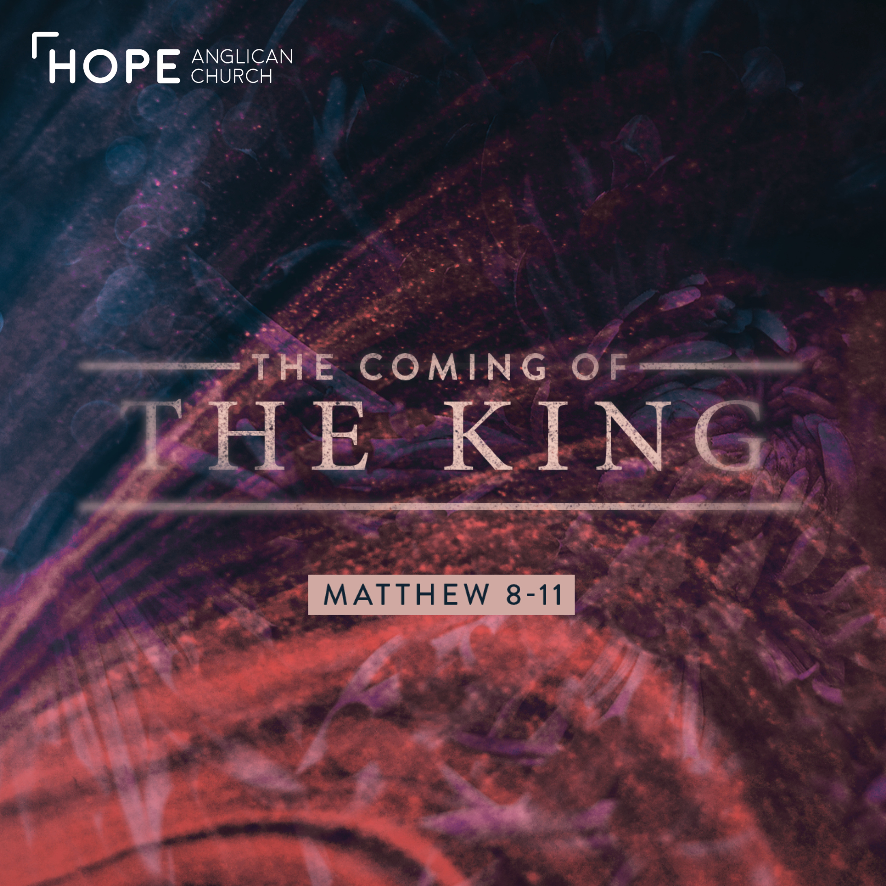 Matthew 2025 | The Power and Compassion of Christ | Matthew 9:18-34 episode artwork