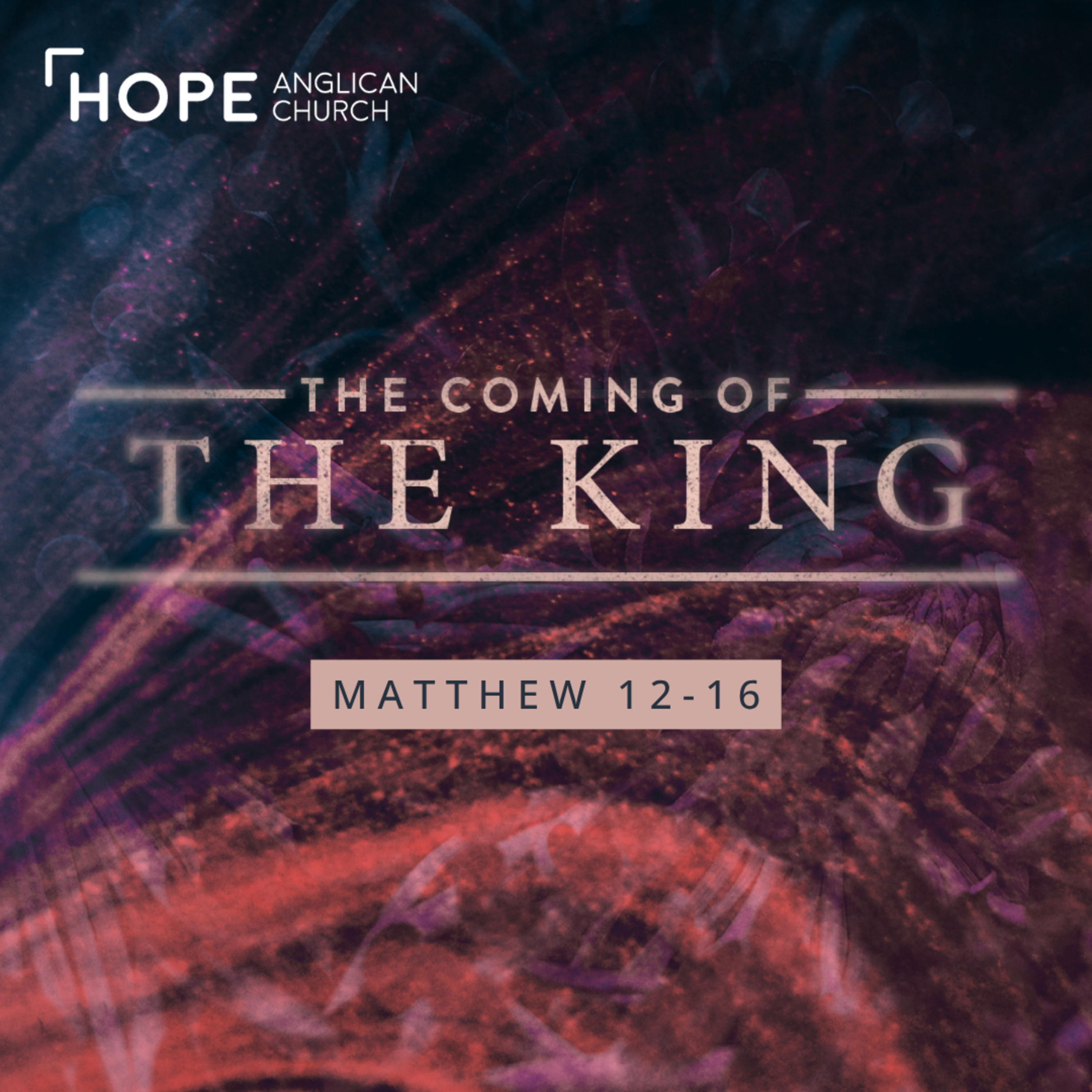 Matthew 2026 | The Merciful Lord of the Sabbath  |  Matthew 12: 1-21 episode artwork