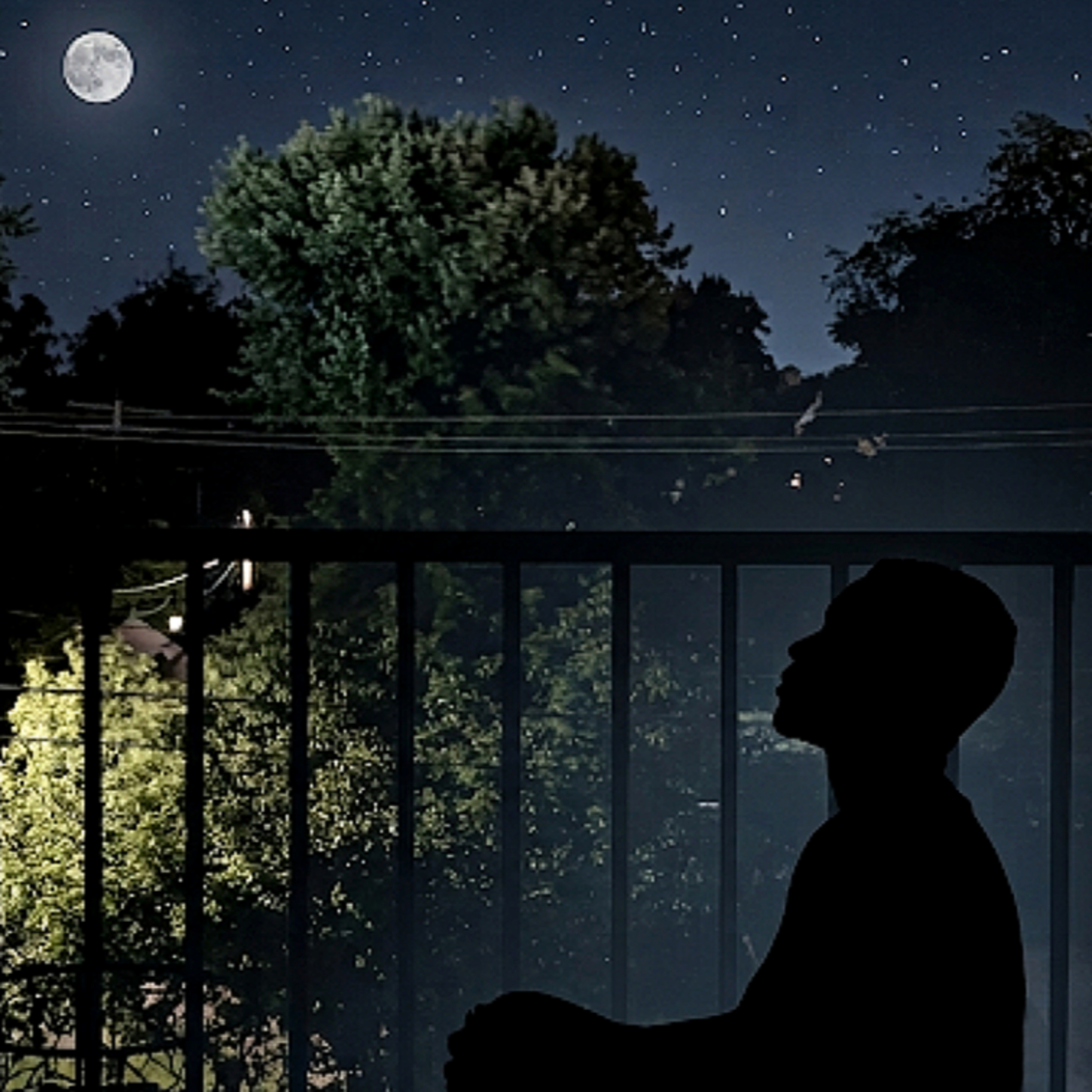 The Frequency of Stillness Episode 23 episode artwork