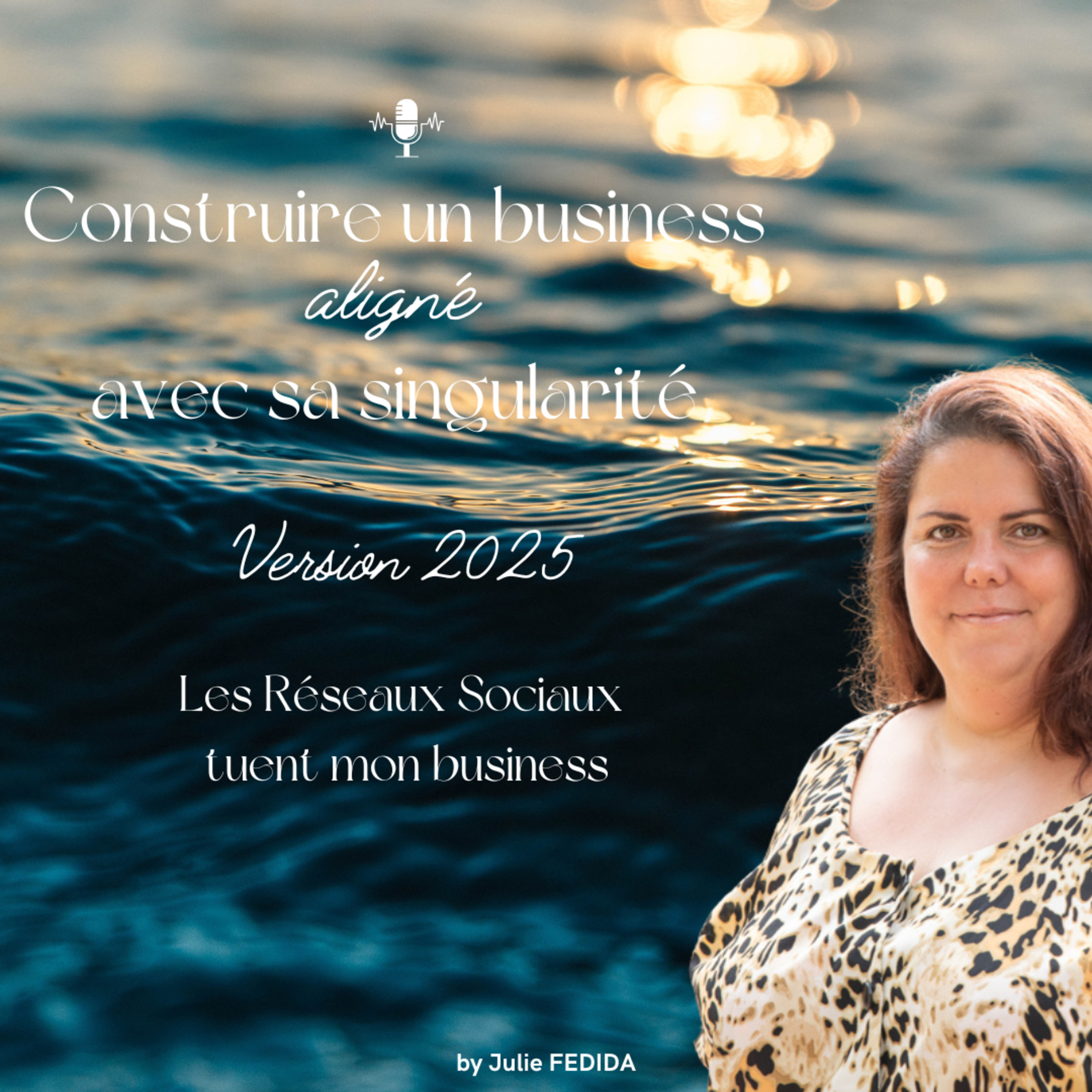 Les Réseaux Sociaux tuent mon business episode artwork