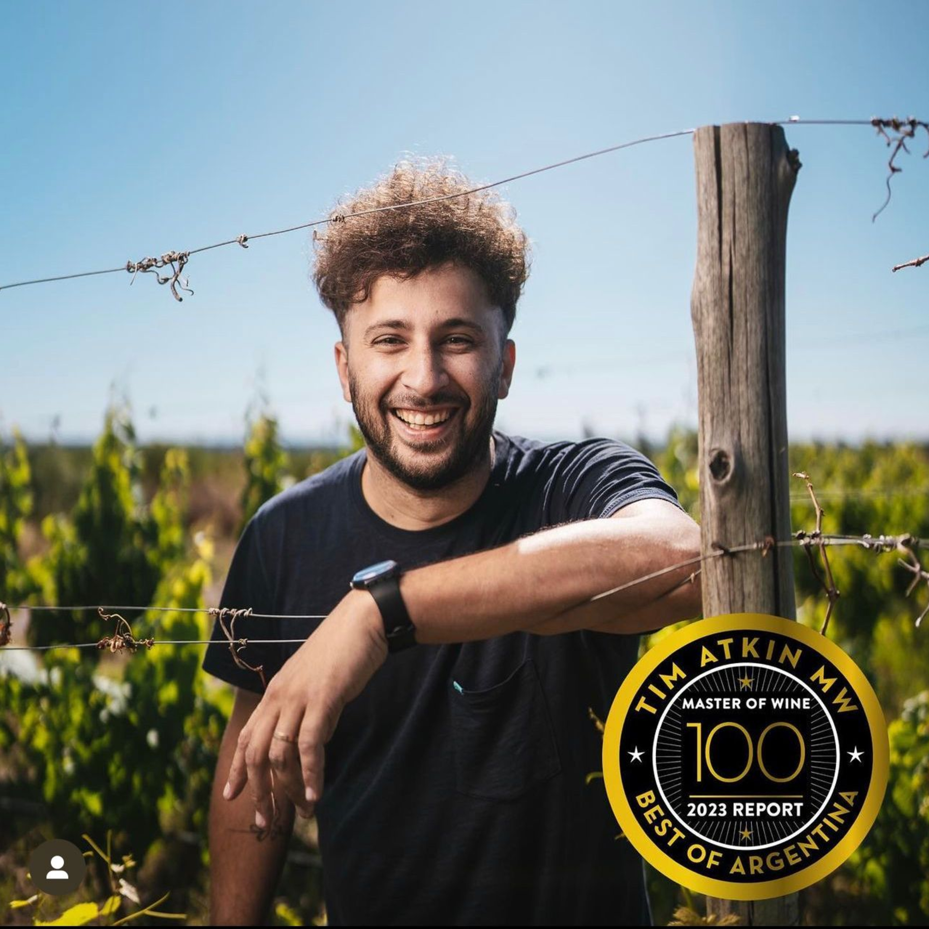 FEDERICO GAMBETTA - EL ENÓLOGO DE LOS 100 PUNTOS DE ALTOS LAS HORMIGAS episode artwork