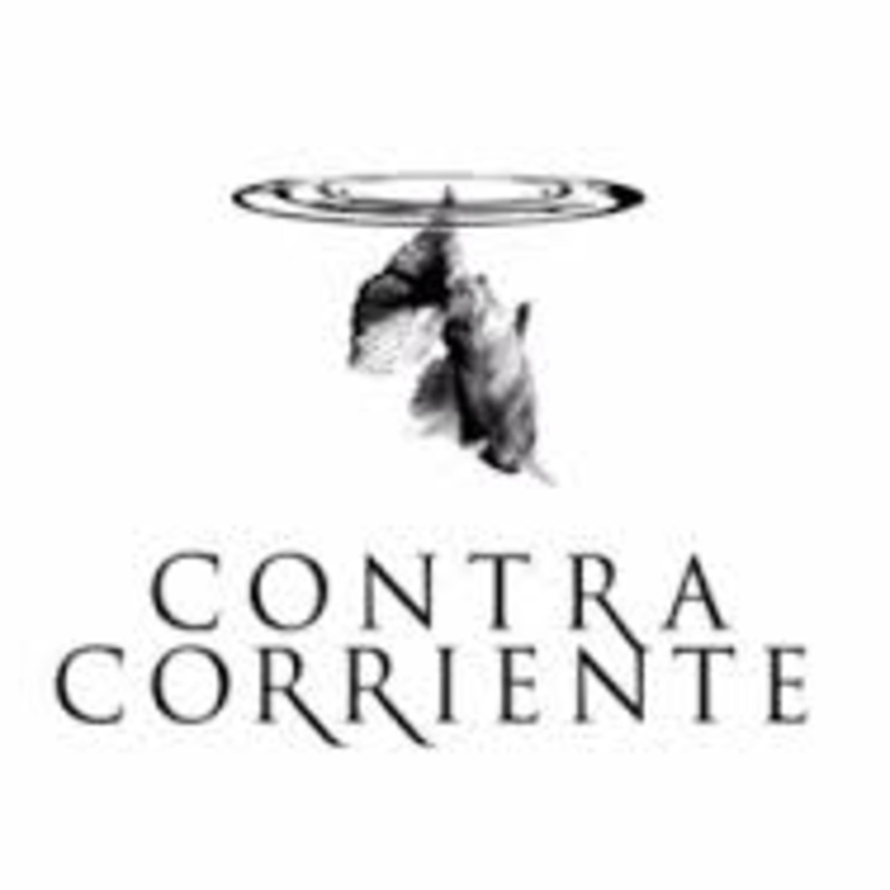 SOFIA ELENA - BODEGA CONTRA CORRIENTE (Chubut) episode artwork