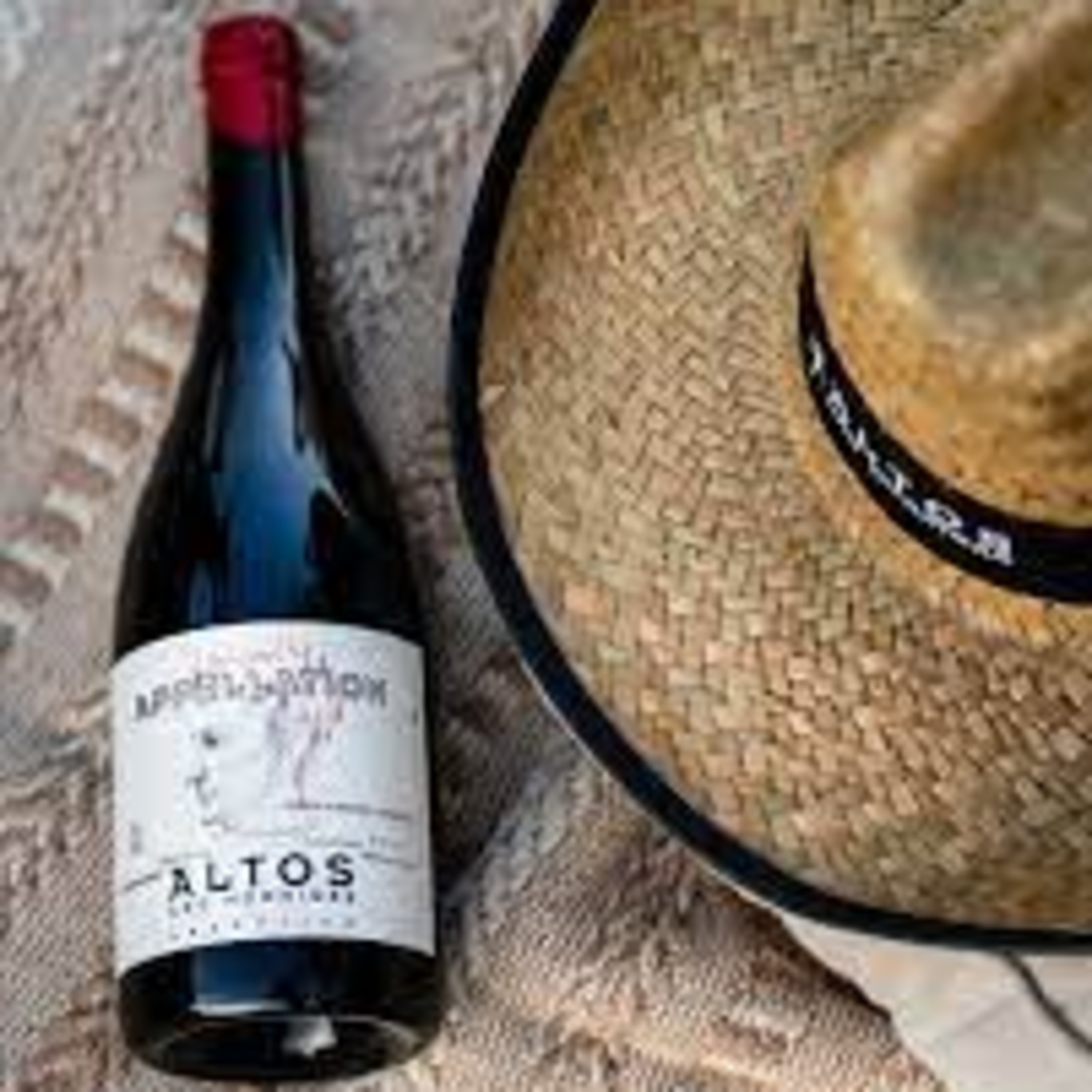 STEFANIE PAIVA HARWAT - ALTOS LAS HORMIGAS episode artwork